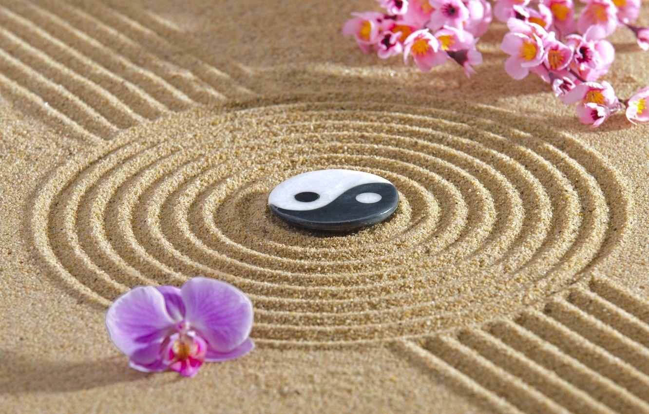 1332x850 Wallpaper energy, flowers, stone, Japan, garden, Japan, stone, Zen, energy, garden, philosophy, Zen, sand monk image for desktop, section разное