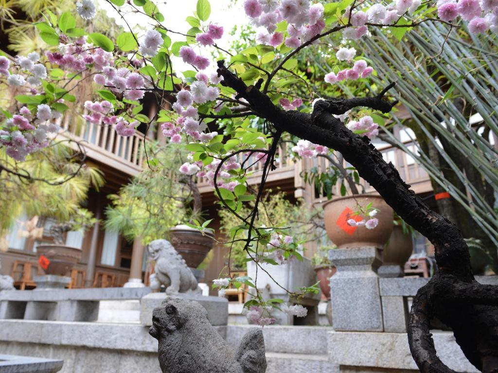1024x768 Zen Garden Hotel Wuyi Yard, Lijiang Deals, Photo & Reviews