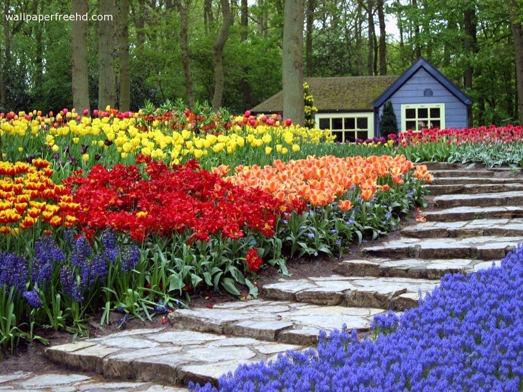 1024x768 Free download Wallpaper Desk Garden wallpaper garden wallpaperWallpaper Desk [1024x768] for your Desktop, Mobile & Tablet. Explore Gardens Wallpaper. Rose Garden Wallpaper, Flower Garden Wallpaper, Zen Garden Wallpaper