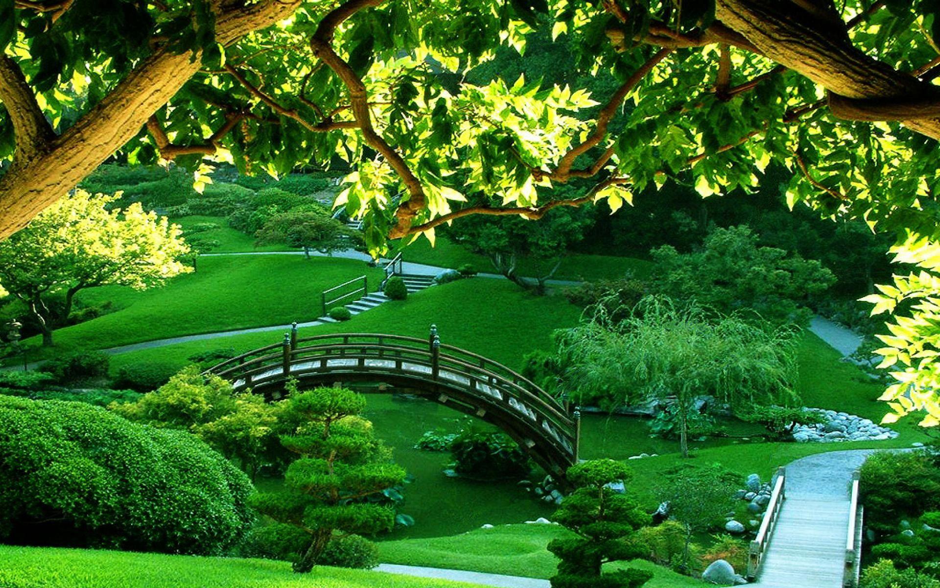 1920x1200 Zen Garden Wallpaper