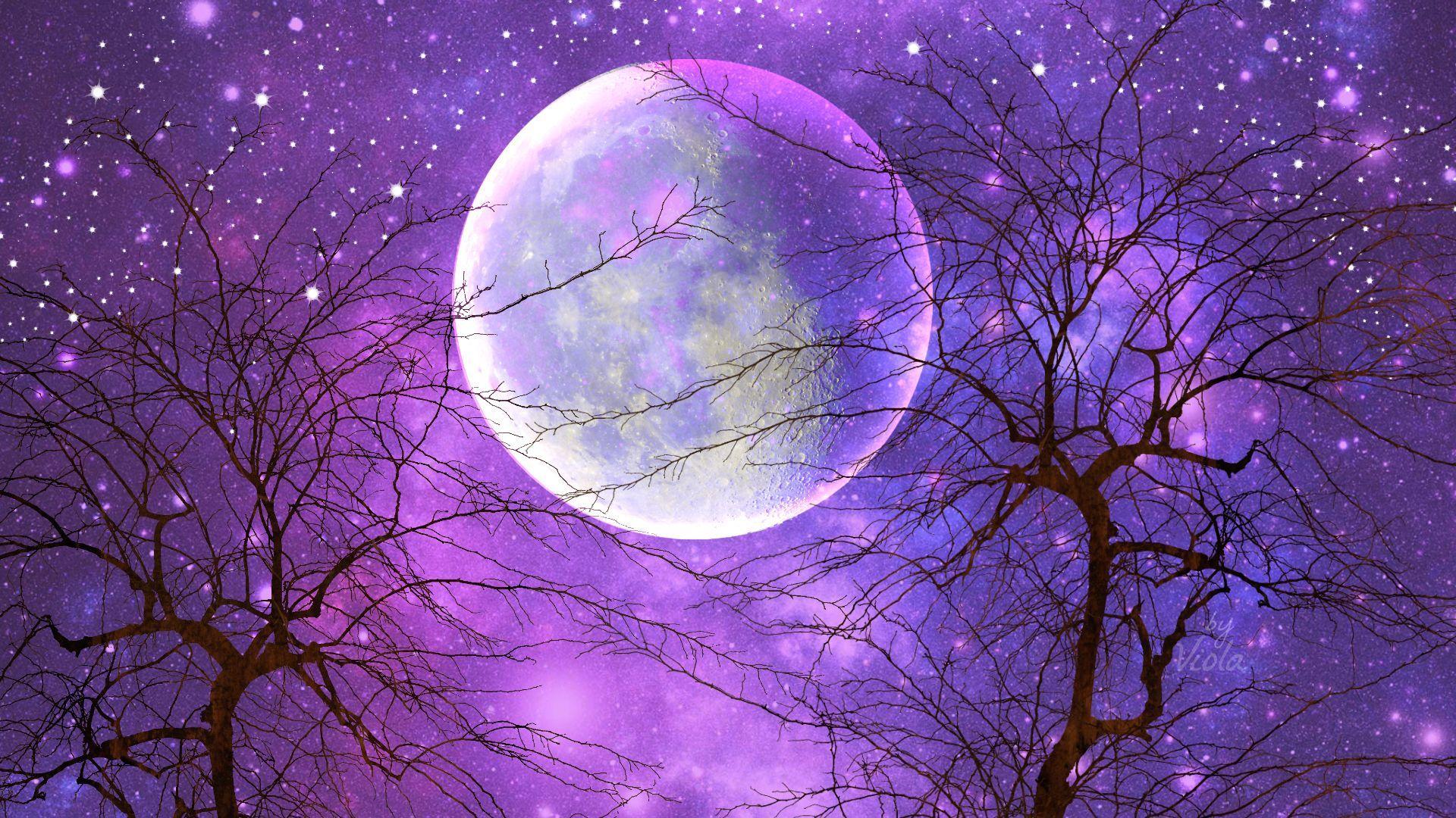 black and purple moon wallpaper