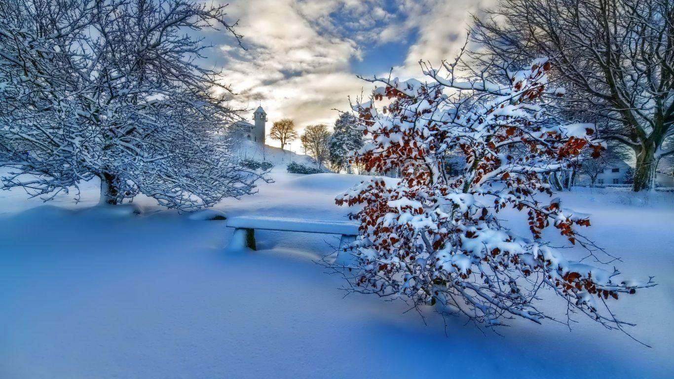 Featured image of post Japan Winter Nature Wallpapers - Download all photos and use them even for commercial projects.