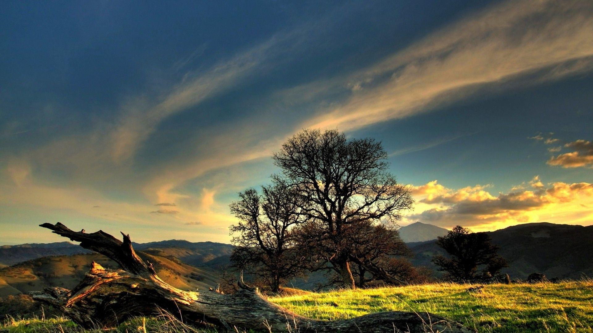 1920x1080 clouds, landscapes, nature, dead, grass, meadow, easy, chips, sky wallpaper