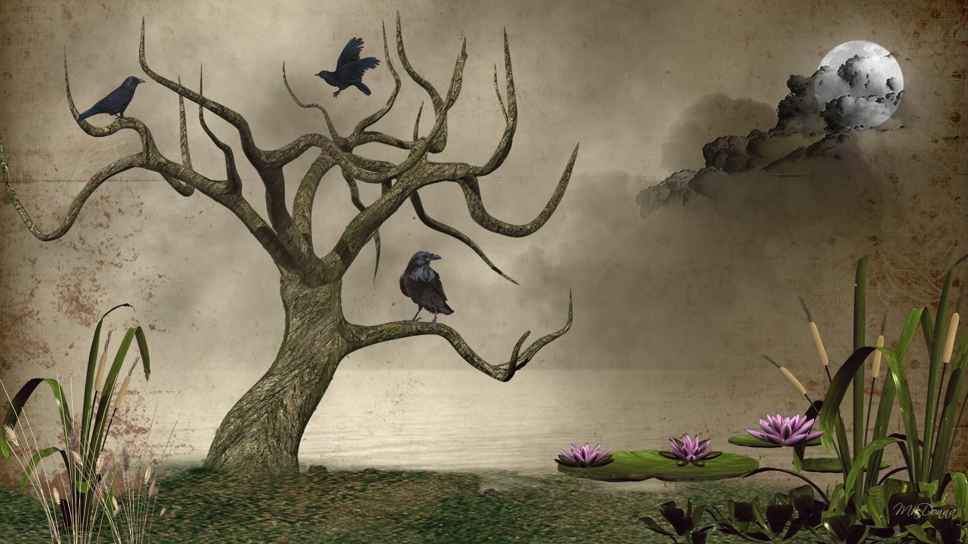 1920x1080 Dead Tree Pond HD desktop wallpaper : Widescreen : High Definition