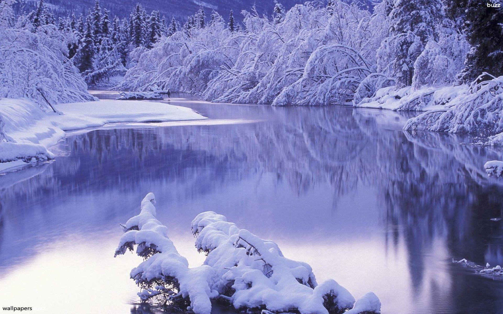 1920x1200 Winter Wonderland Desktop Wallpaper