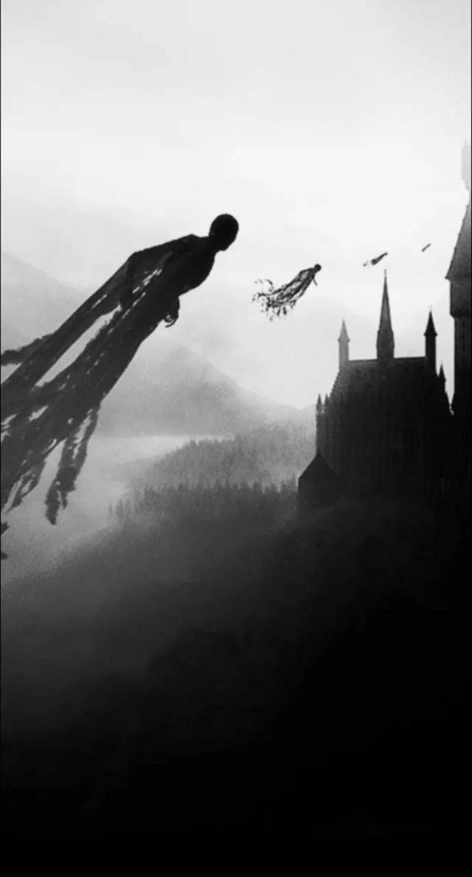 689x1280 Harry Potter wallpaper