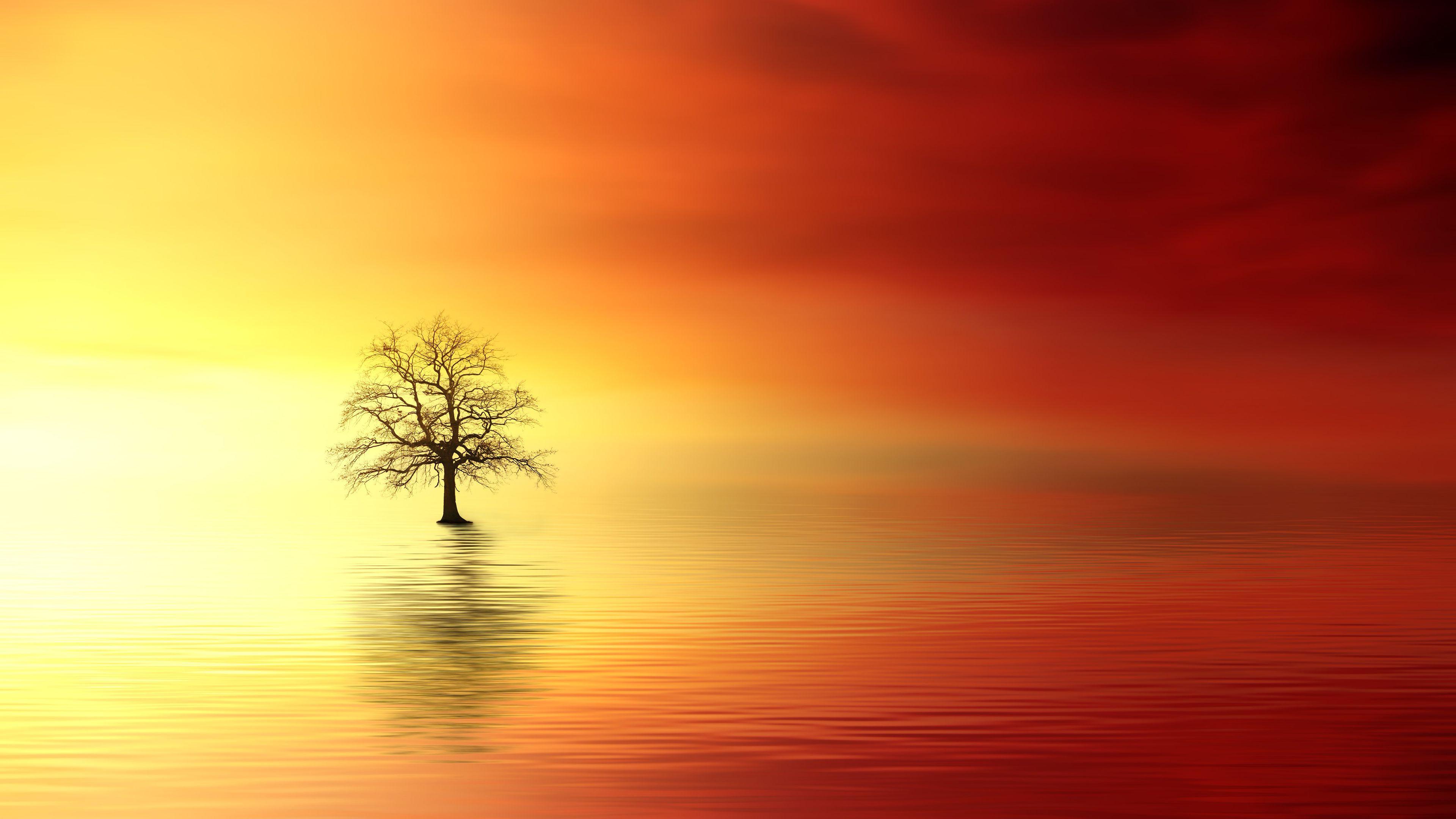 3840x2160 Vivid Sunset Chromebook Wallpaper