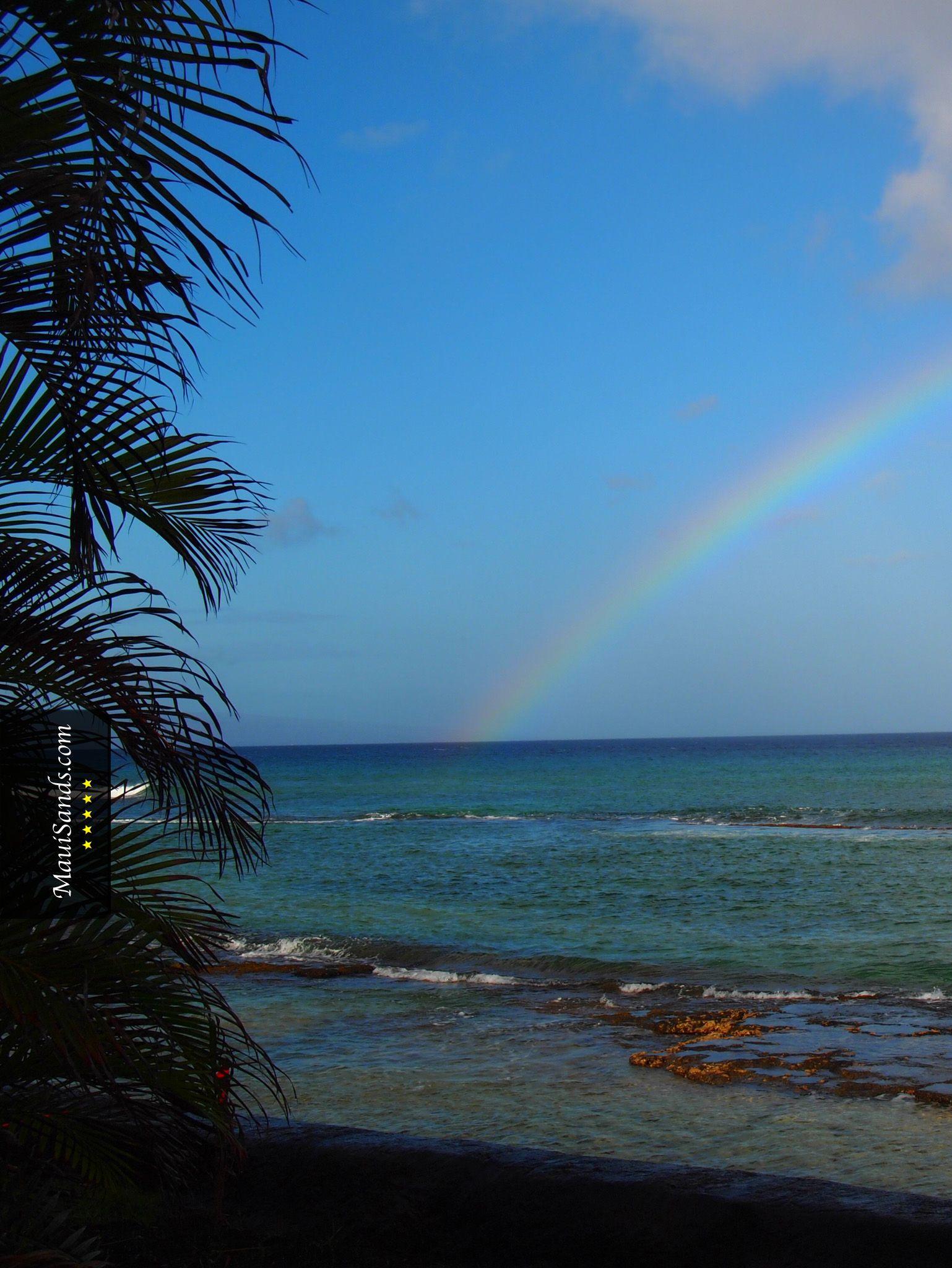 1538x2048 Hawaii Wallpaper from Maui Sands