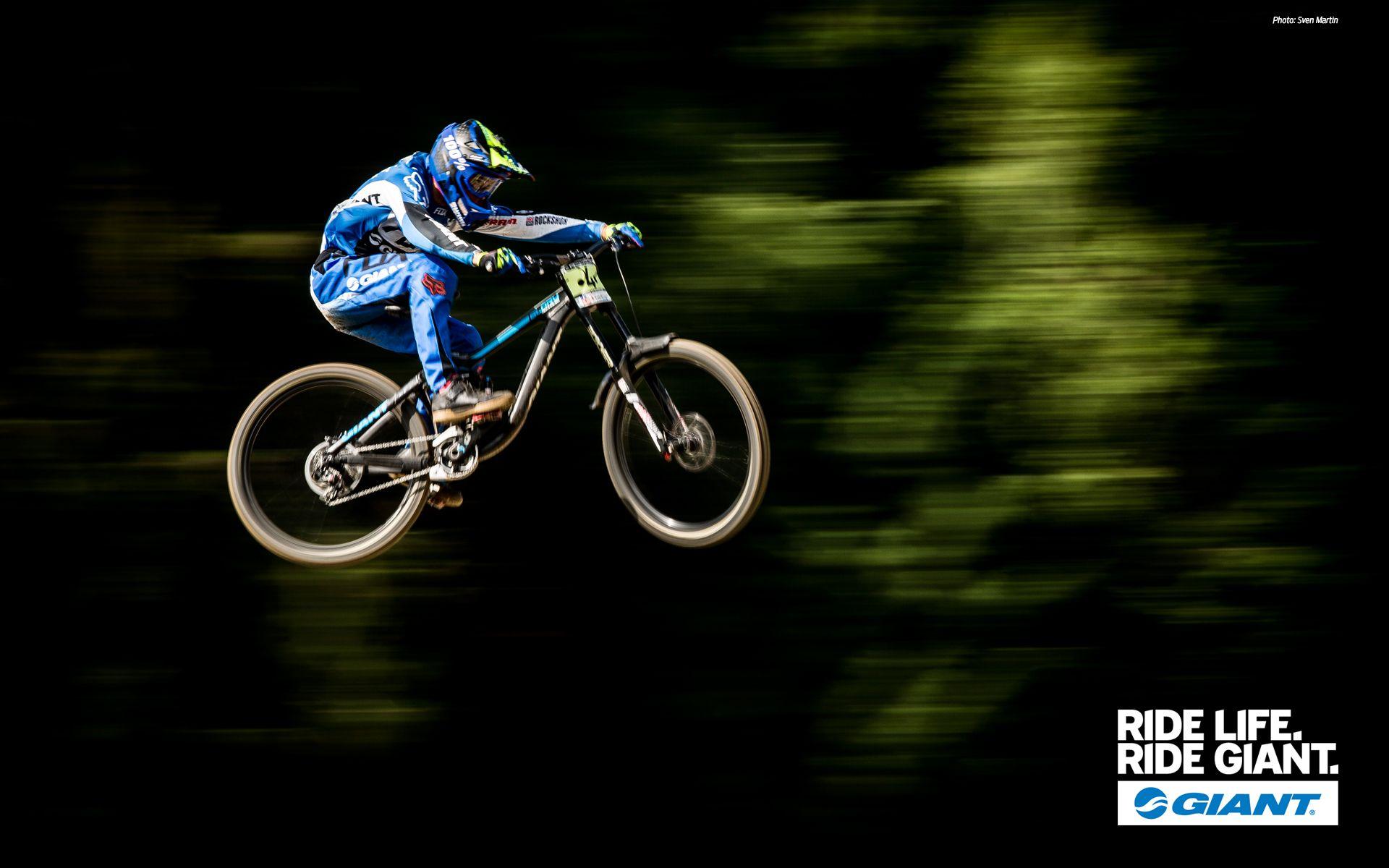 1920x1200 Free download Gallery For gt Giant Road Bike Wallpaper [1920x1200] for your Desktop, Mobile & Tablet. Explore Road Bikes Wallpaper. Bicycle Desktop Wallpaper, Road Cycling Wallpaper, Cycling Desktop Wallpaper