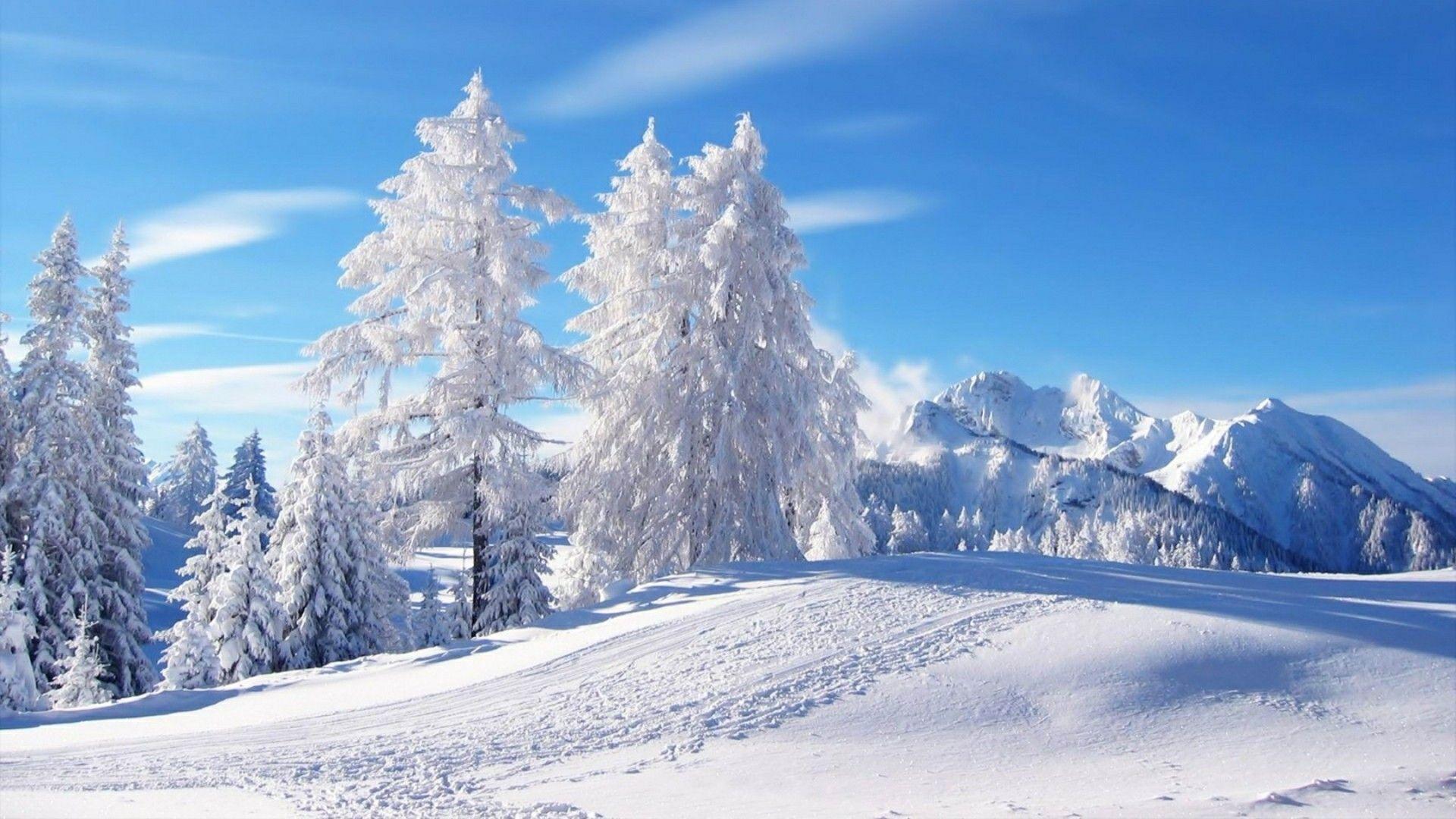 1920x1080 Winter Landscape Wallpaper HD