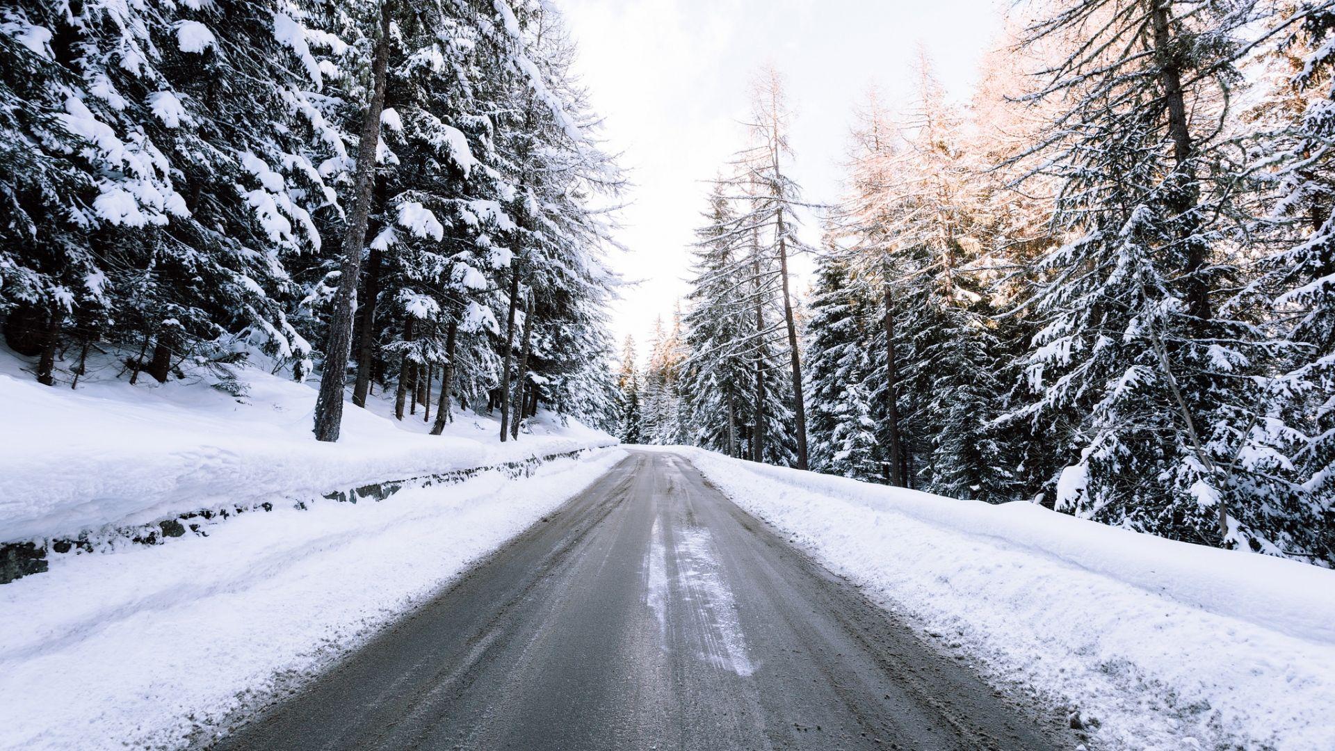 1920x1080 Snowy Trees Wallpaper