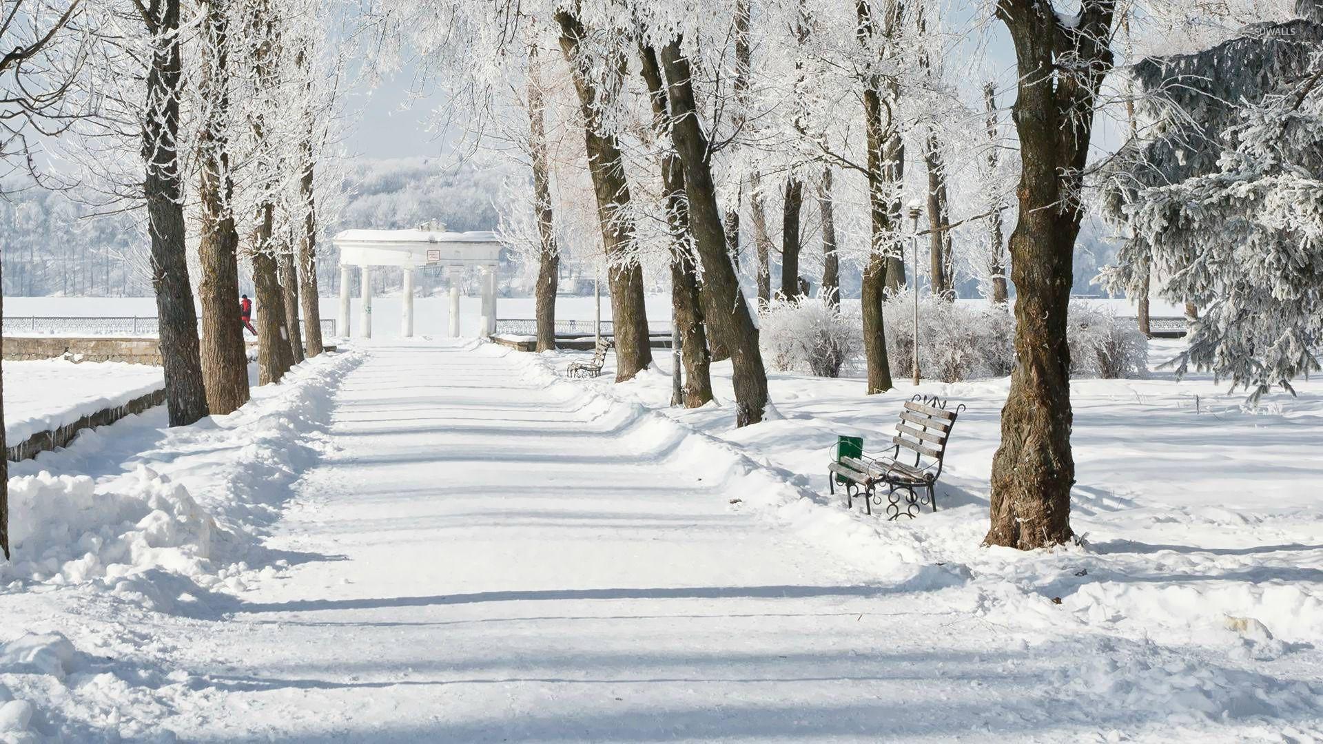 Фото Фон Зима
