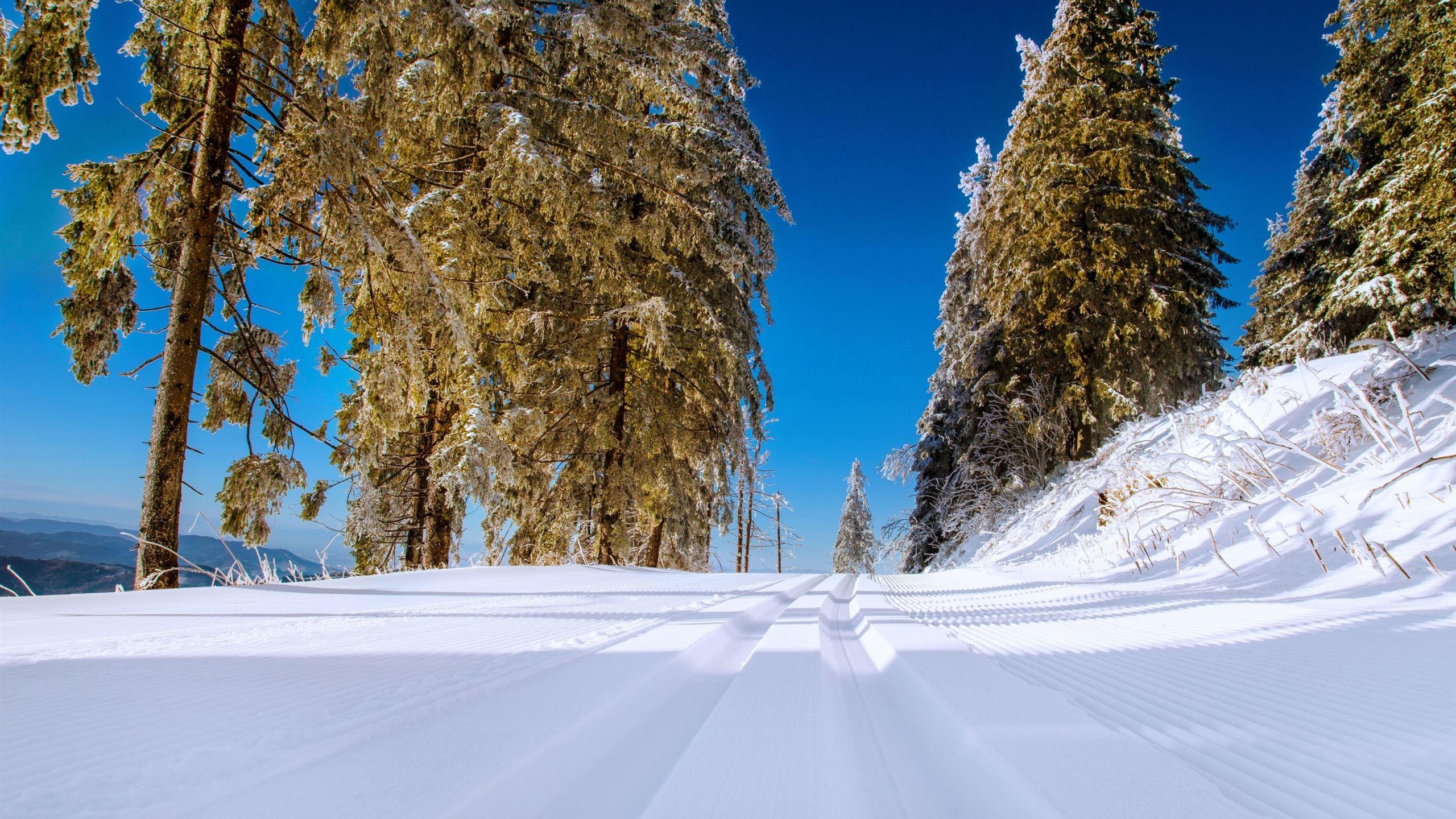 2560x1440 Winter Snowy Road Scenery MacBook Air Wallpaper Download