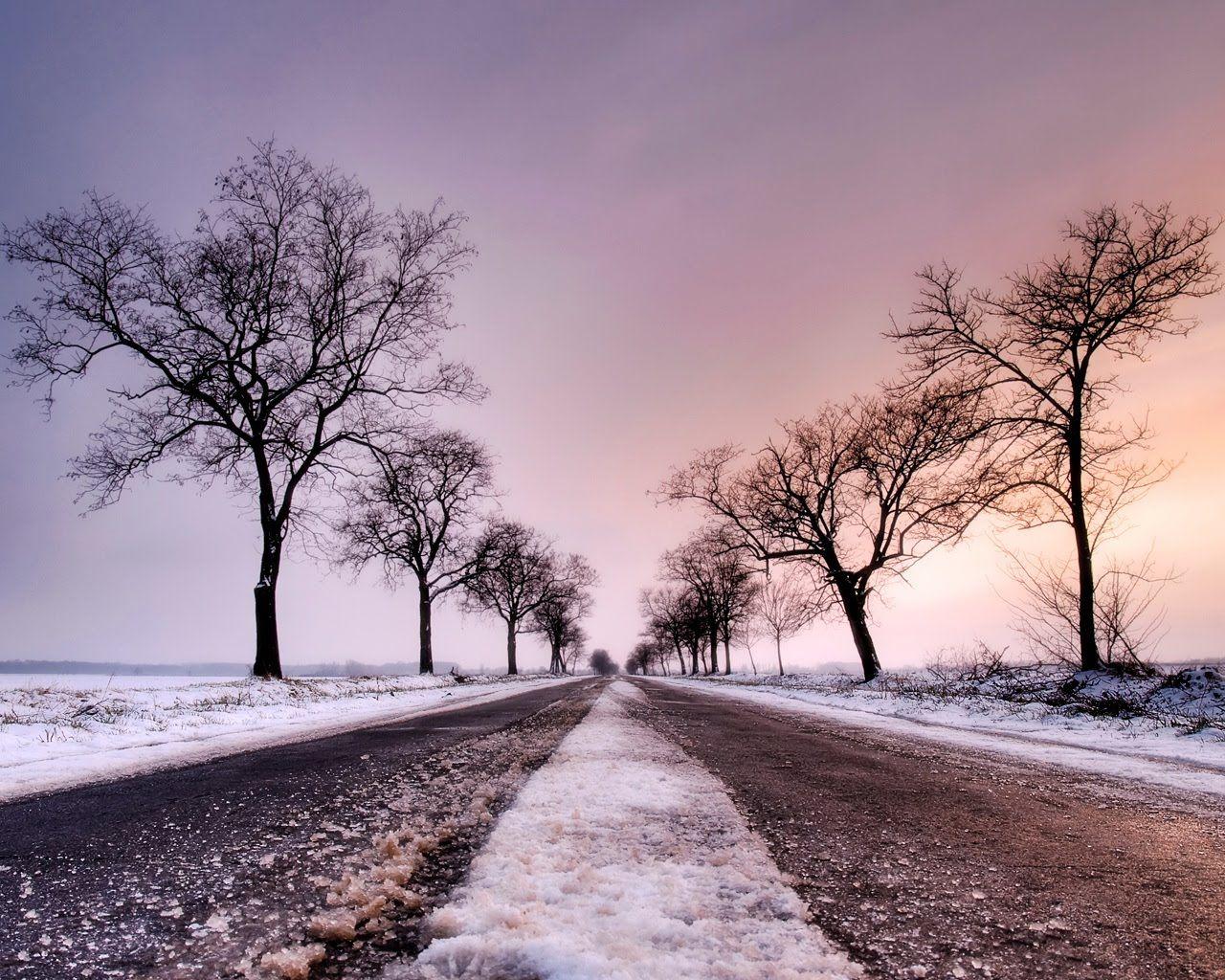 1280x1024 black dragon 1: Winter Road Desktop Wallpaper