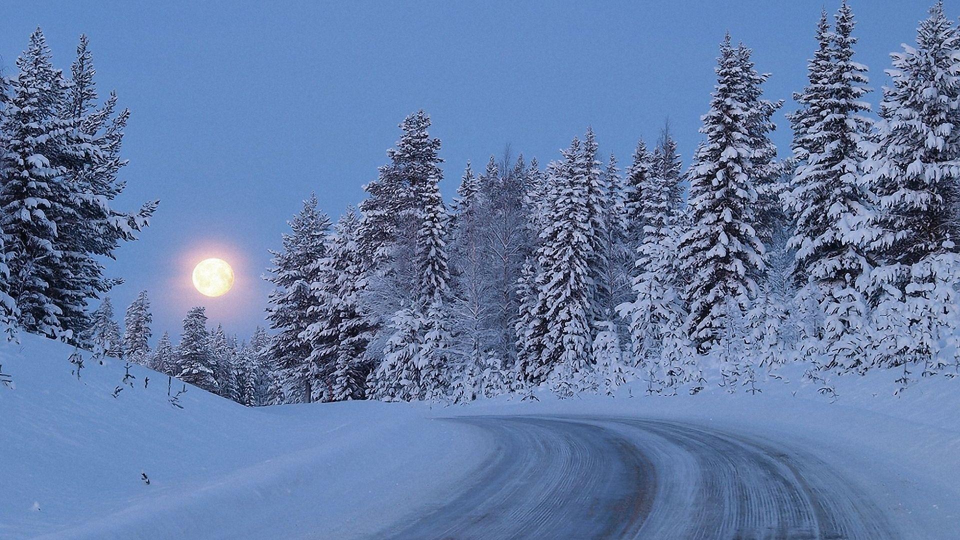 1920x1080 Free download Snowy Forest Road Moon Night wallpaper Snowy Forest Road Moon Night [1920x1200] for your Desktop, Mobile & Tablet. Explore Night Snow Wallpaper Background. Free Wallpaper Snow, Free