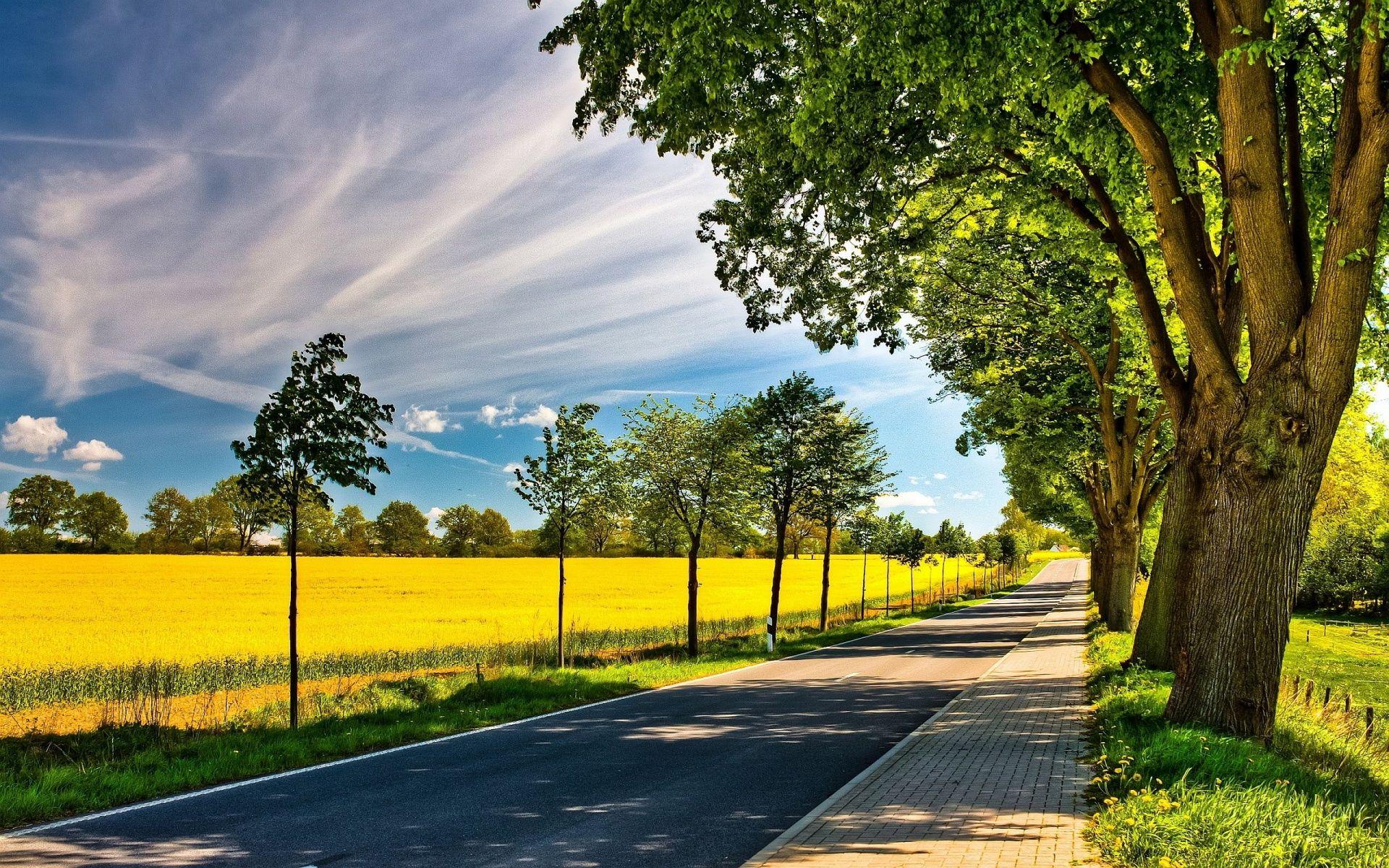 1920x1200 Summer Road Fields wallpaperx1200