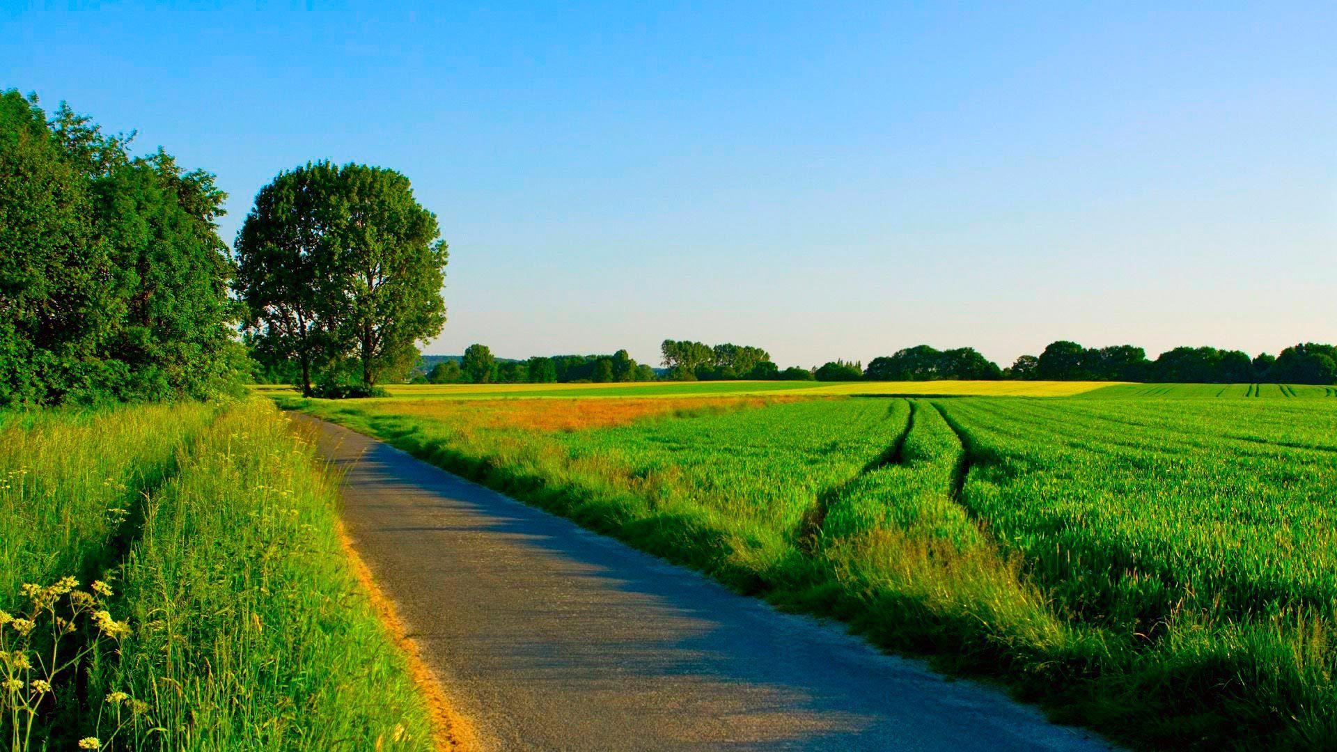 1920x1080 Free download Summer road among manicured fields wallpaper and image wallpaper [1920x1080] for your Desktop, Mobile & Tablet. Explore Summer Fields Wallpaper. Soccer Field Wallpaper