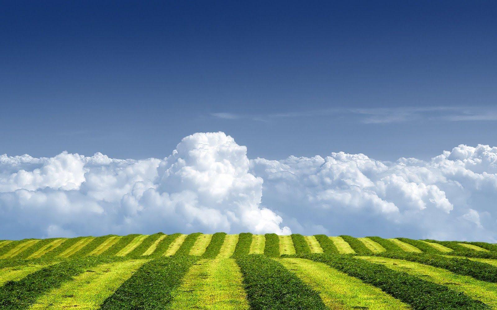 1600x1000 Fields Wallpaper. Summer Fields Wallpaper, Tulip Fields Wallpaper and Hippy Background Fields Wallpaper