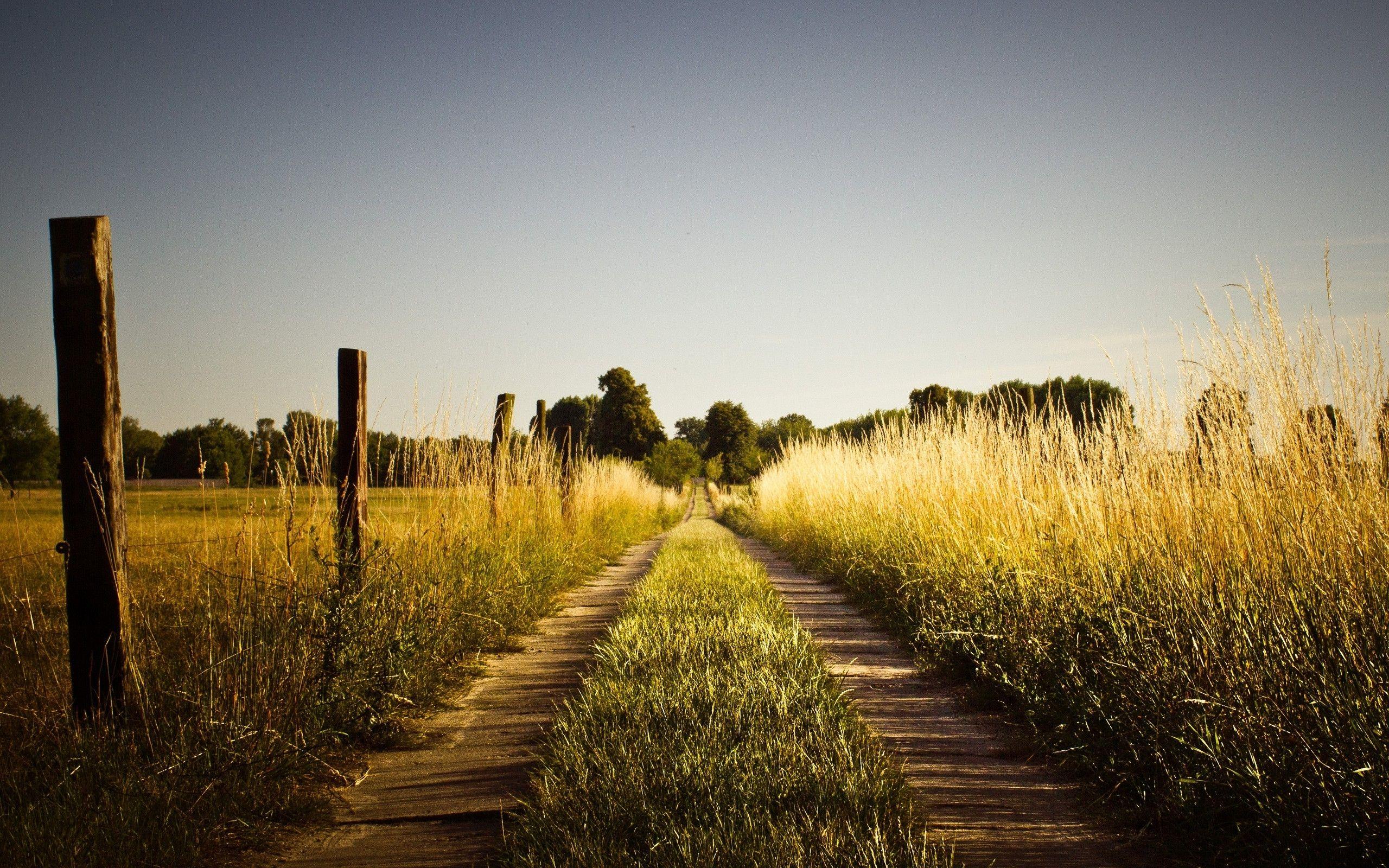 2560x1600 Summer Road Fields & Fences wallpaper. Summer Road Fields & Fences