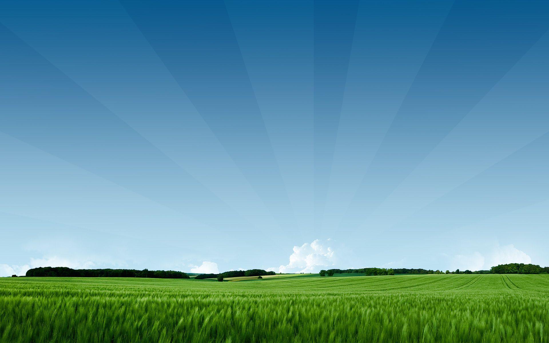 1920x1200 Summer fields. Green nature, Summer wallpaper, Landscape