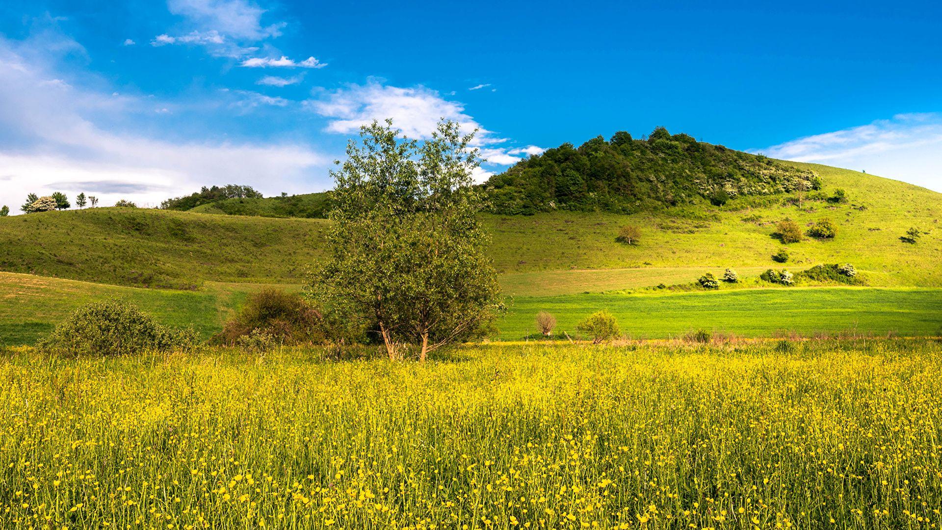 1920x1080 Photos Nature Summer Sky Fields 1920x1080