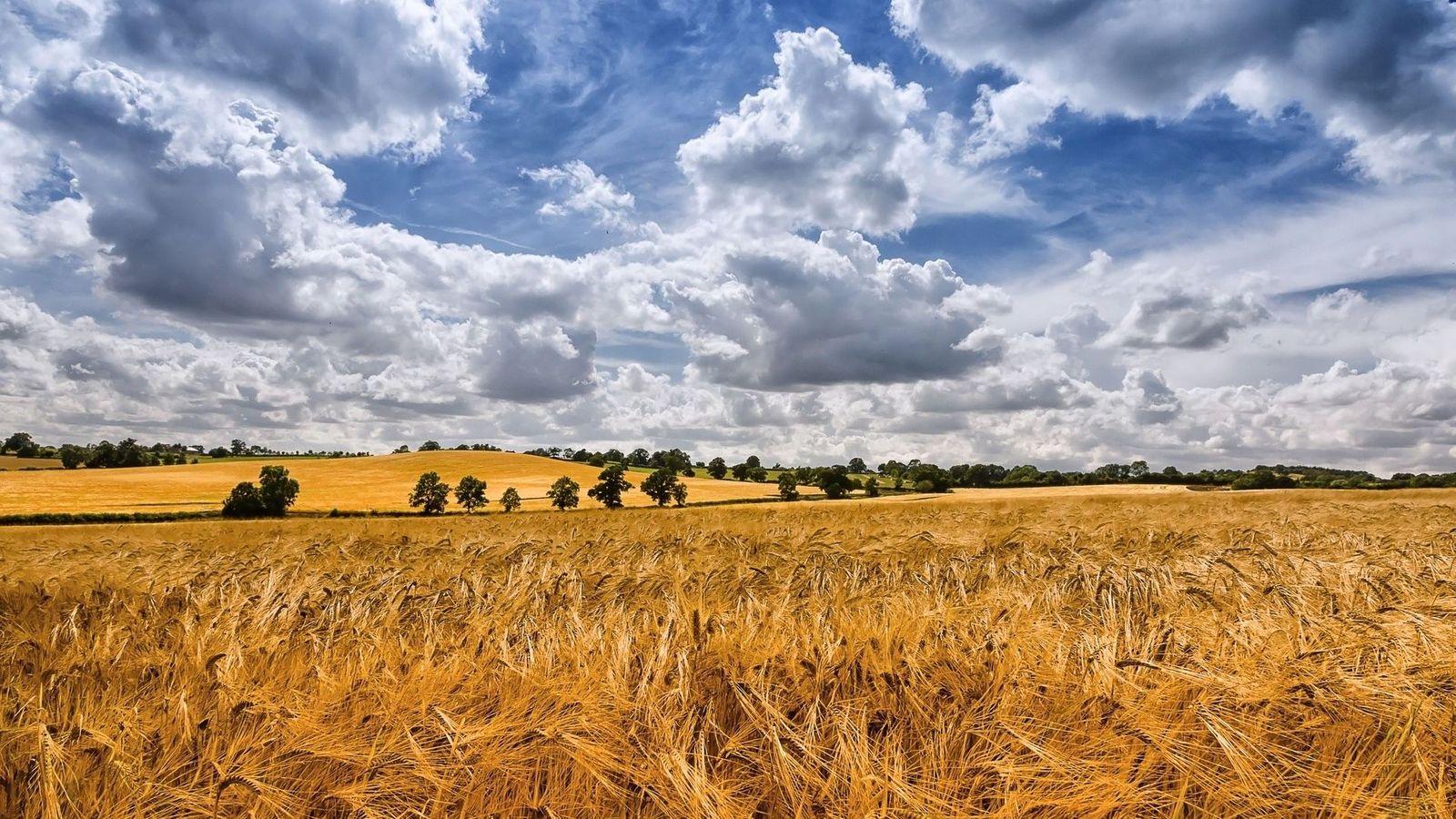 1600x900 Summer Sky Clouds Fields Landscape Wallpaper