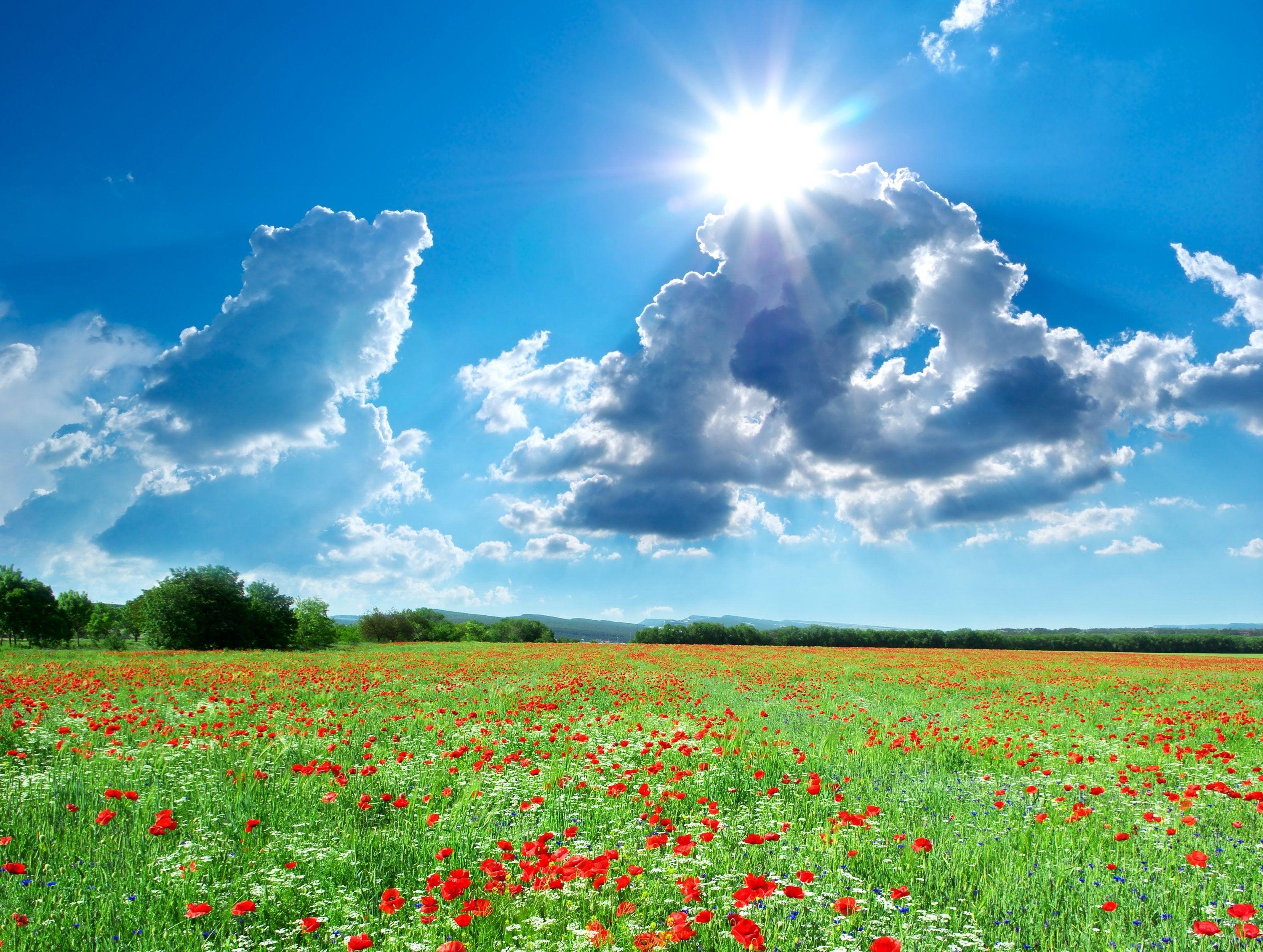 3000x2262 Seasons, Summer, Fields, Scenery, Poppies, Sky, Clouds, Sun, Nature