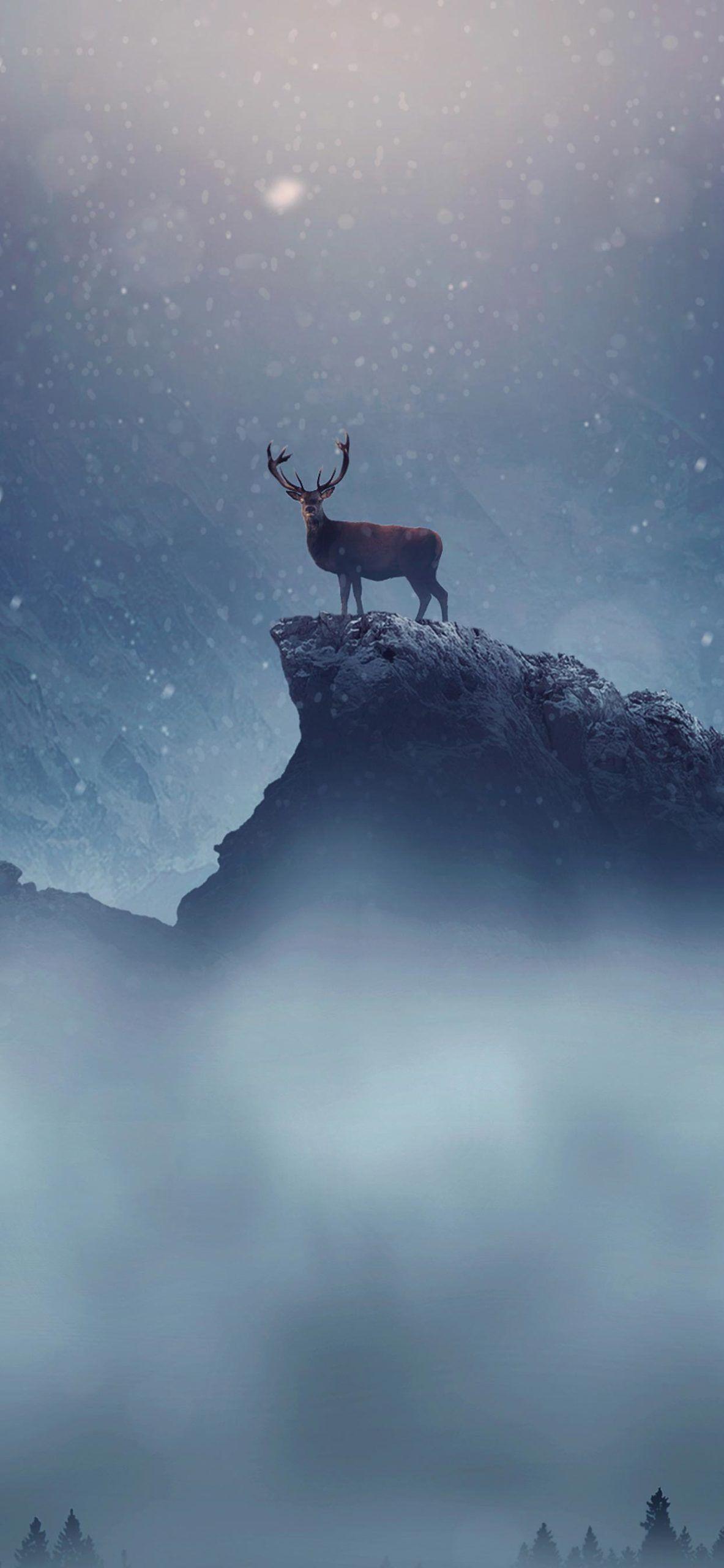 1183x2560 Iphone 11 Pro Max Wallpaper 28 .all