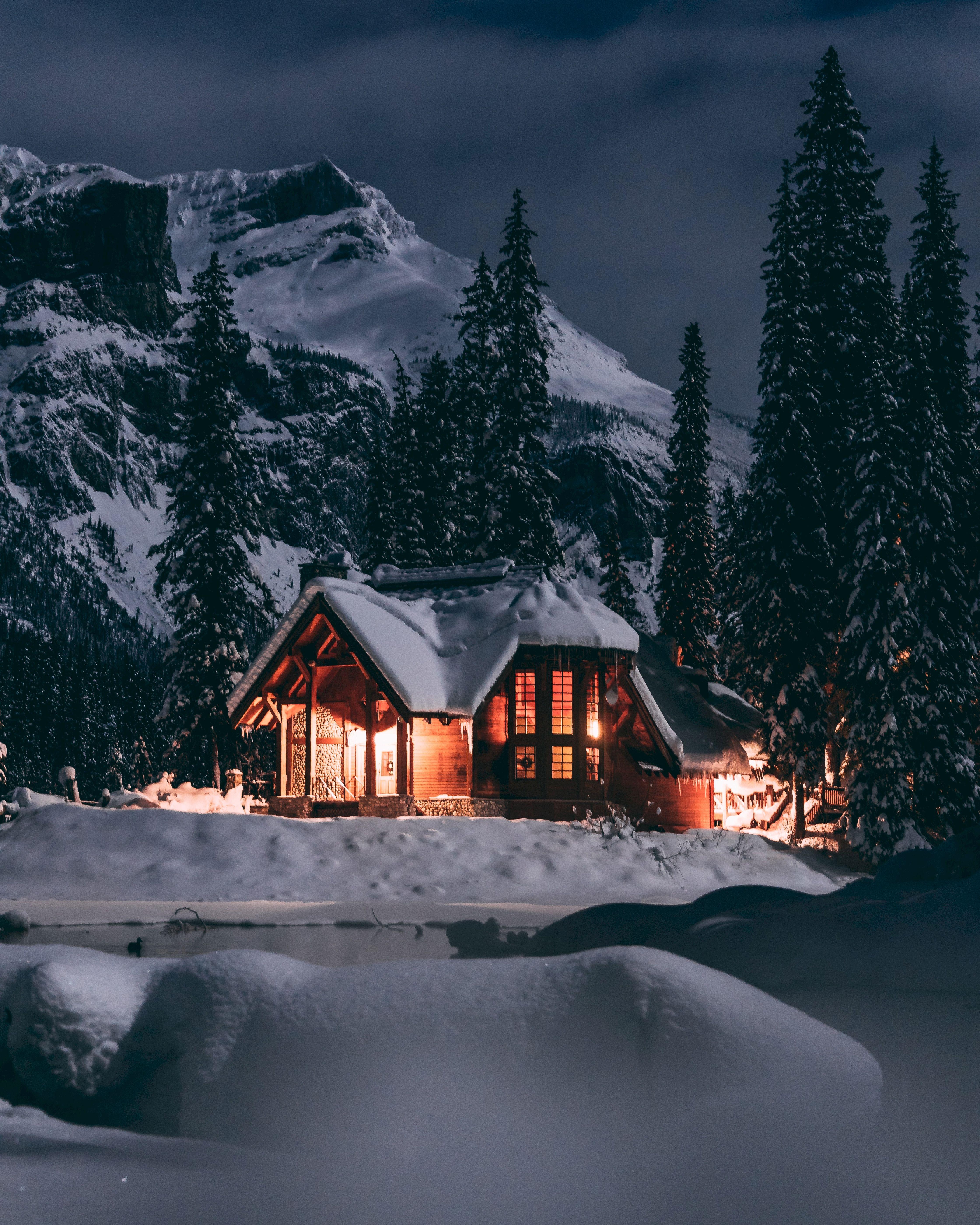 4480x5600 Download wallpaper 4480x5600 house, winter, snow, night, trees HD background