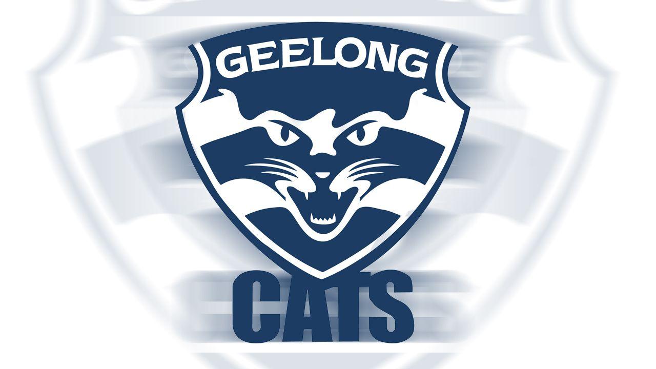 1280x720 Geelong Cats Wallpaper Background Football Club Logo Wallpaper & Background Download