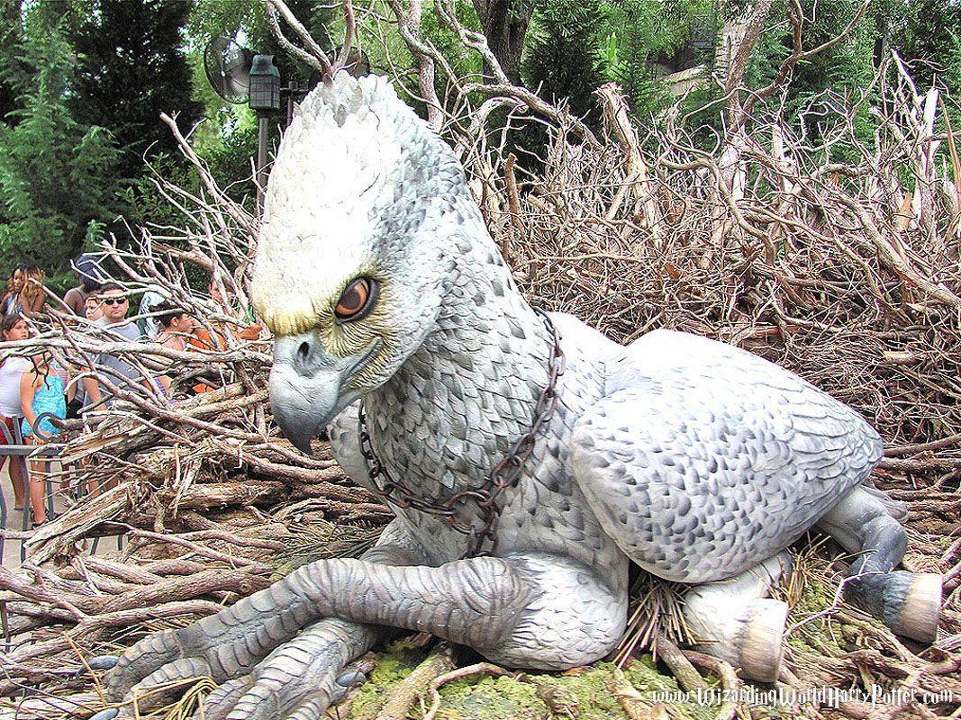1067x800 Buckbeak Wallpaper