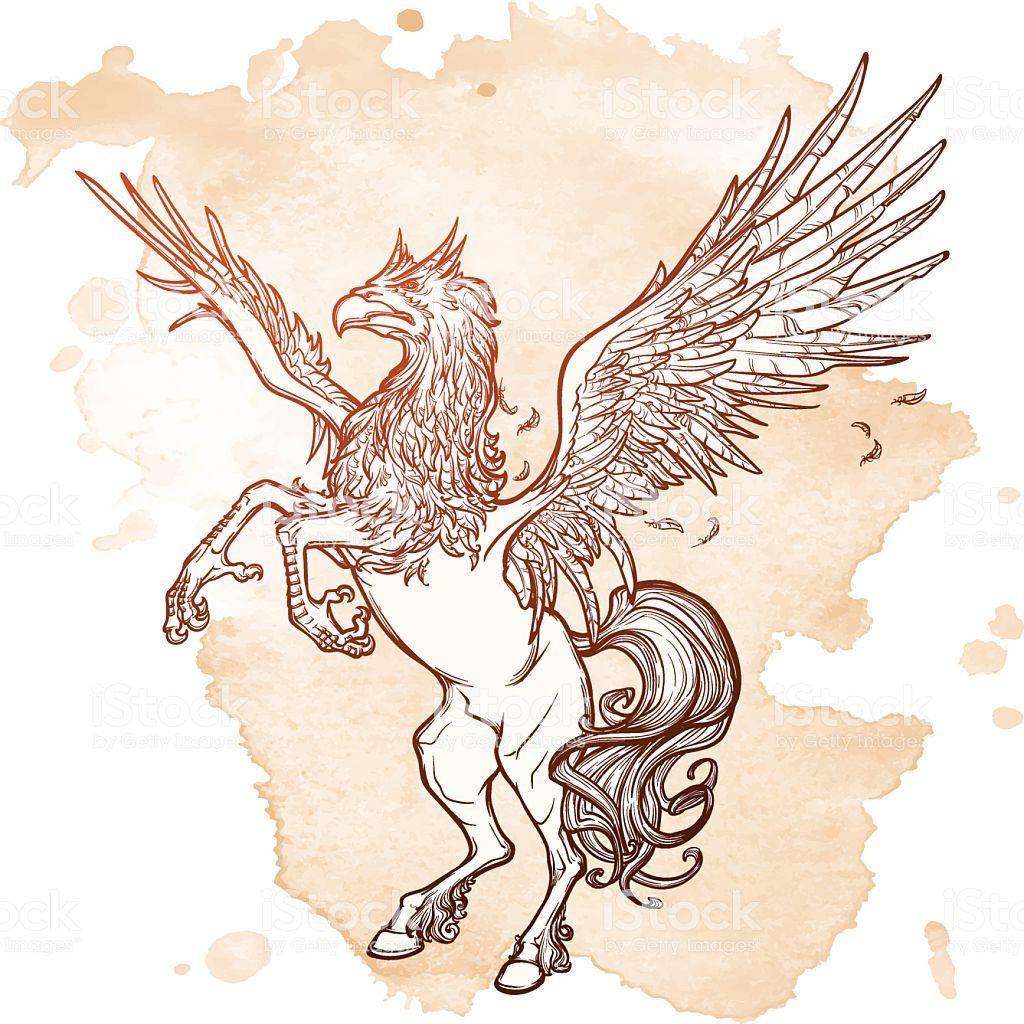 1024x1024 Free download Hippogriff Or Hippogryph Supernatural Beast Sketch On A Grunge [1024x1024] for your Desktop, Mobile & Tablet. Explore Hippogriff Background. Hippogriff Background