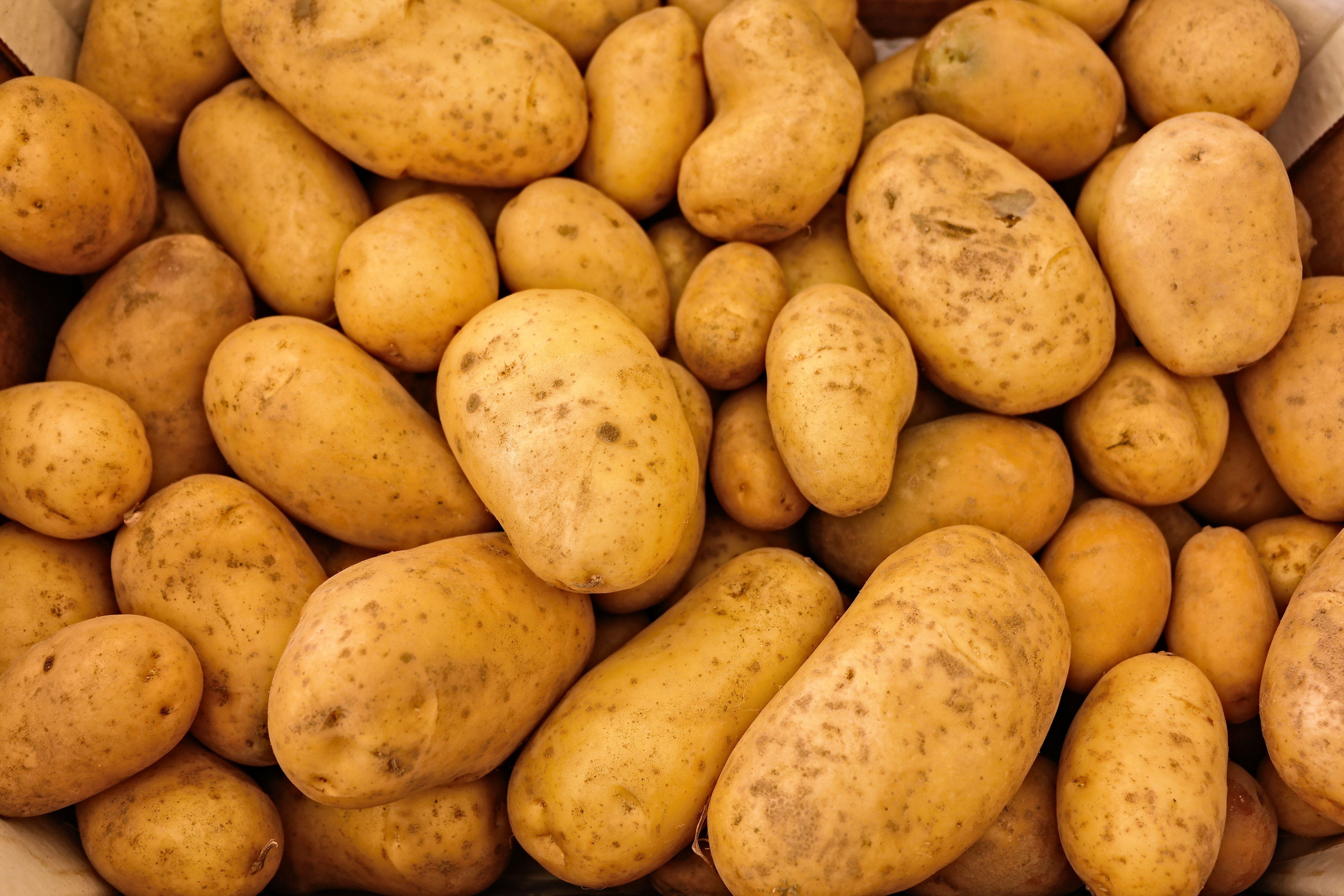 5472x3648 mashed potato and vegetable free image