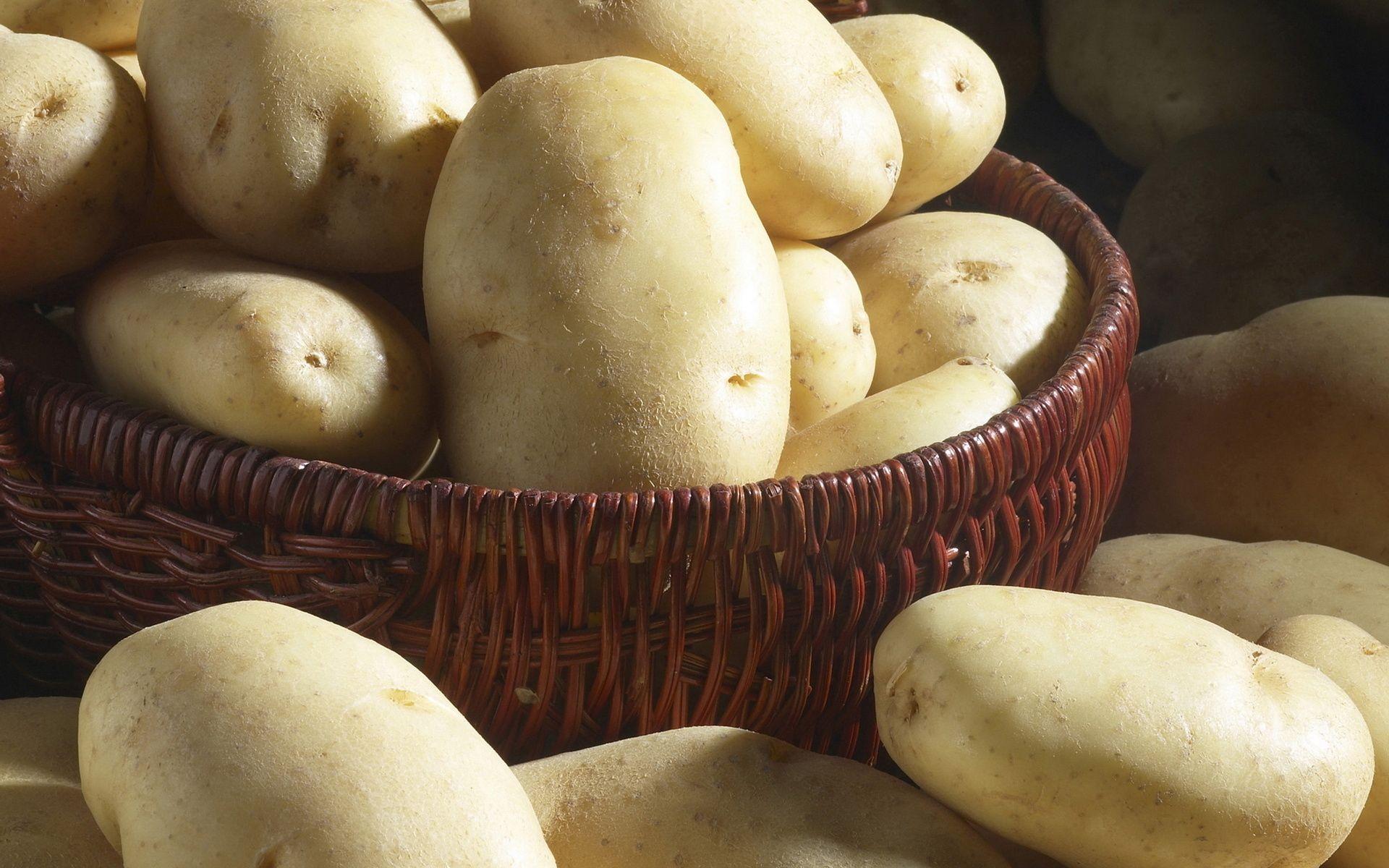1920x1200 HD Potato Wallpaper