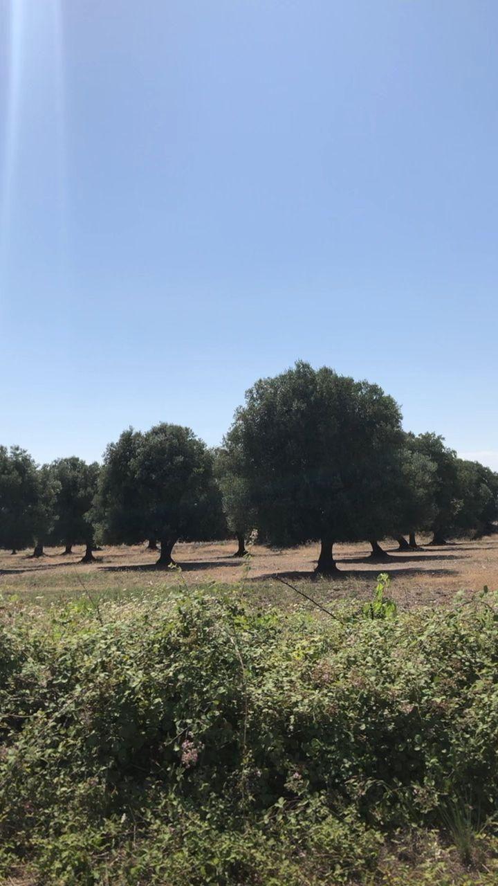720x1280 Puglia, Italy : #Puglia, #Italy. Instagram aesthetic, Instagram, Aesthetic wallpaper