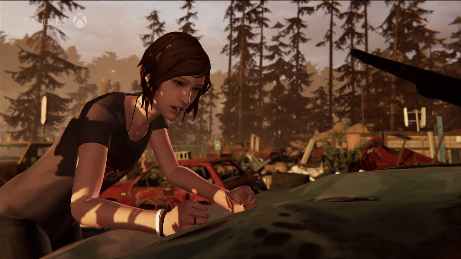 1920x1080 Life Is Strange: Before The Storm's First Episode Drops In August