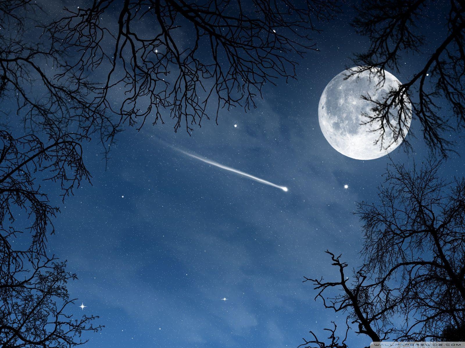 1600x1200 Shooting Star ❤ 4K HD Desktop Wallpaper for 4K Ultra HD TV
