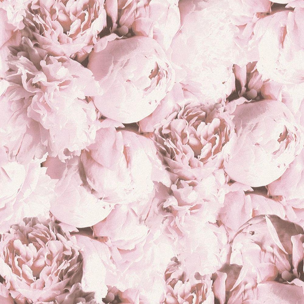 1000x1000 AS Creation New Studio Romantic Flower Floral Wallpaper Pink, White from I Love Wallpaper UK