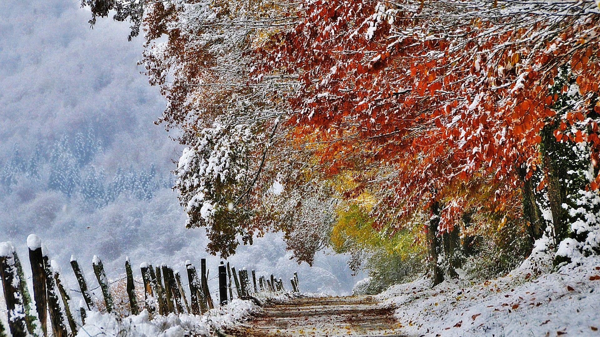 1920x1080 Fall Winter Background Wallpaper