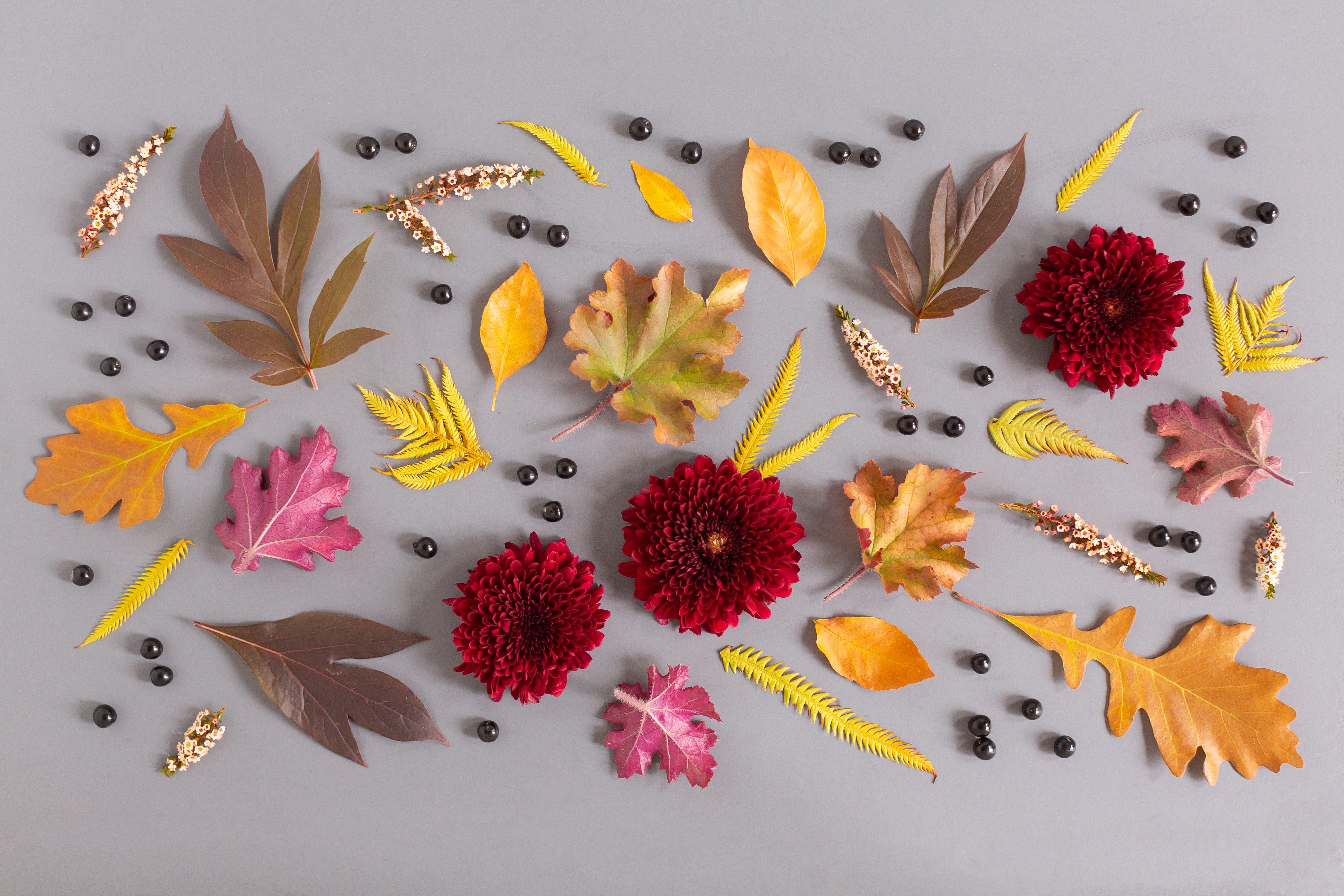 5760x3840 DIGITAL BLOOMS NOVEMBER 2018. FREE DESKTOP WALLPAPERS