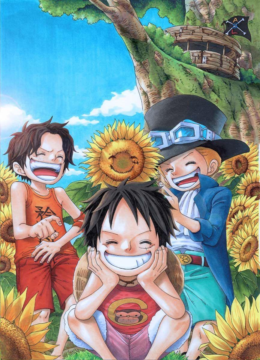 One Piece Luffy wallpaper by Aqiel  Download on ZEDGE  4fce
