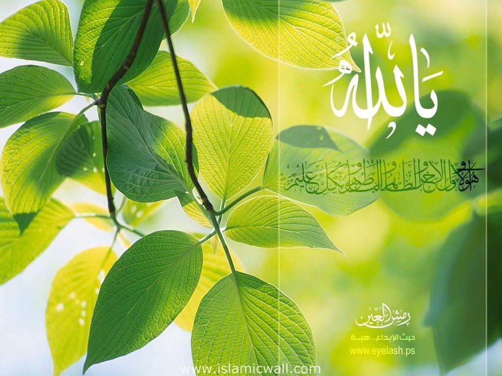Islamic Nature Wallpapers - Top Free Islamic Nature Backgrounds -  WallpaperAccess