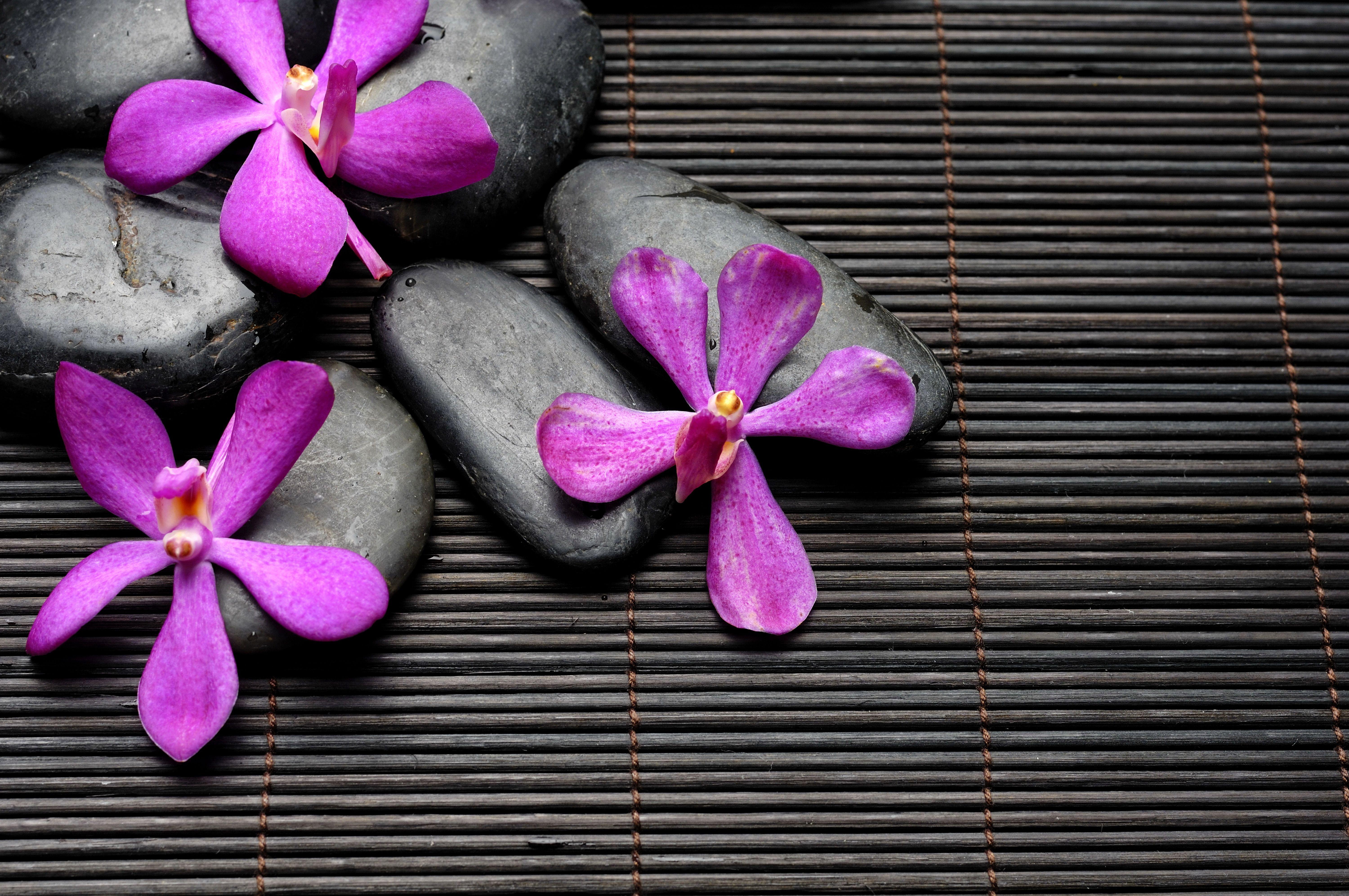 6000x3985 Wallpaper download flowers, stones, bamboo, spa, zen resolution 1920x1080