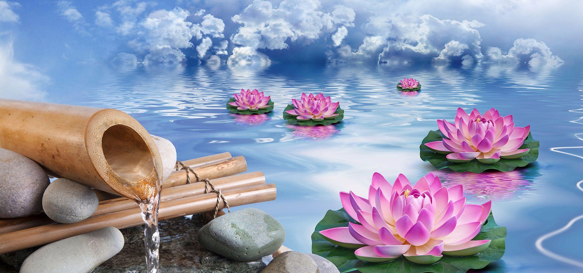 1920x900 Lotus A água Verão Background. Summer background, Water background, Painting