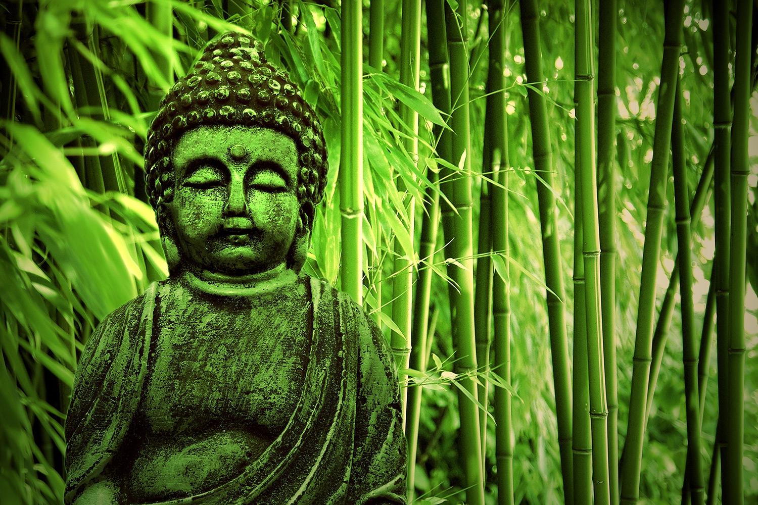1500x1000 Wallpaper Bamboo (1500x1000 px)