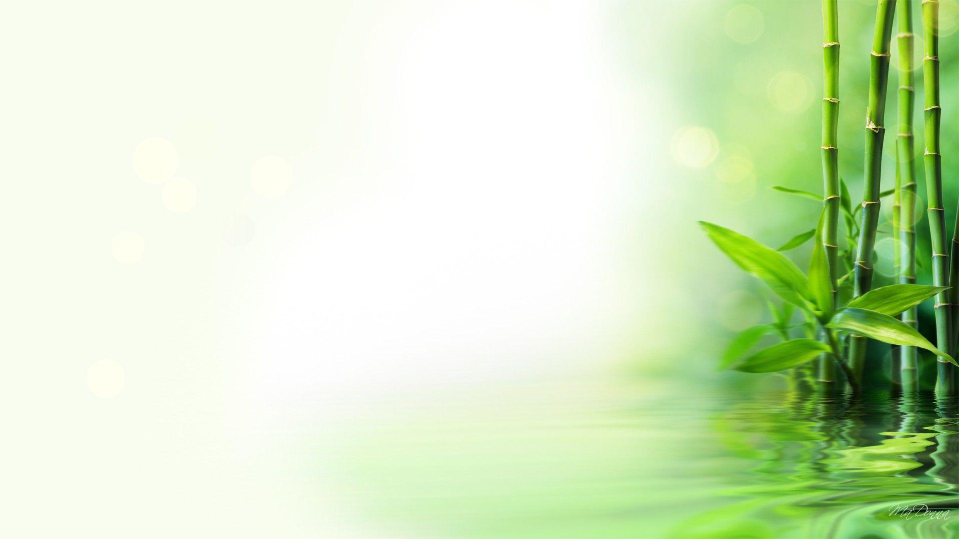 1920x1080 Bamboo Reflection HD Desktop Background
