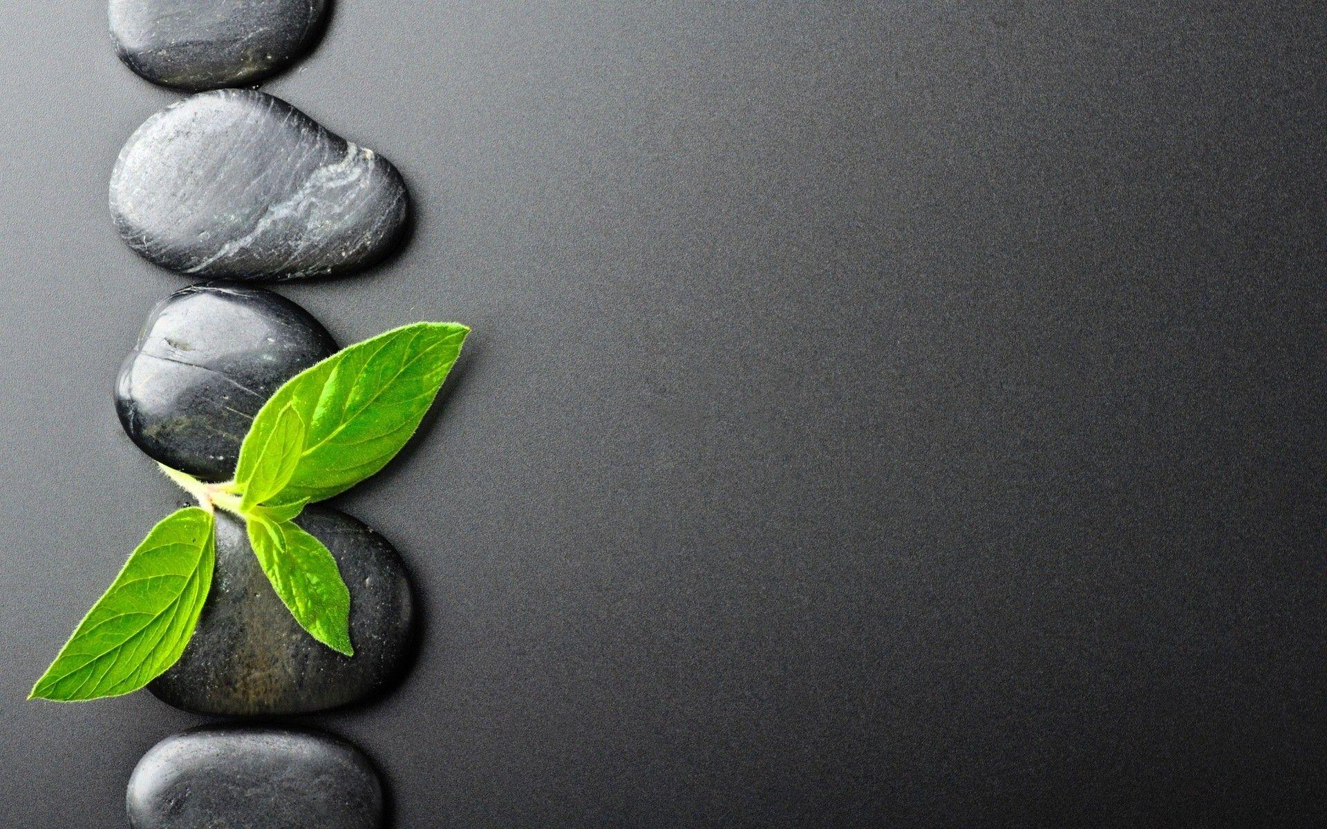 1920x1200 Wallpaper Zen Bamboo and Water. Water Wallpaper, Underwater Wallpaper and Samsung Water Wallpaper