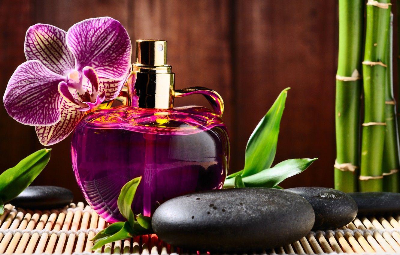 1332x850 Wallpaper flower, stones, perfume, bamboo, bottle, Orchid, black, Spa, perfume, spa, massage, basalt image for desktop, section макро