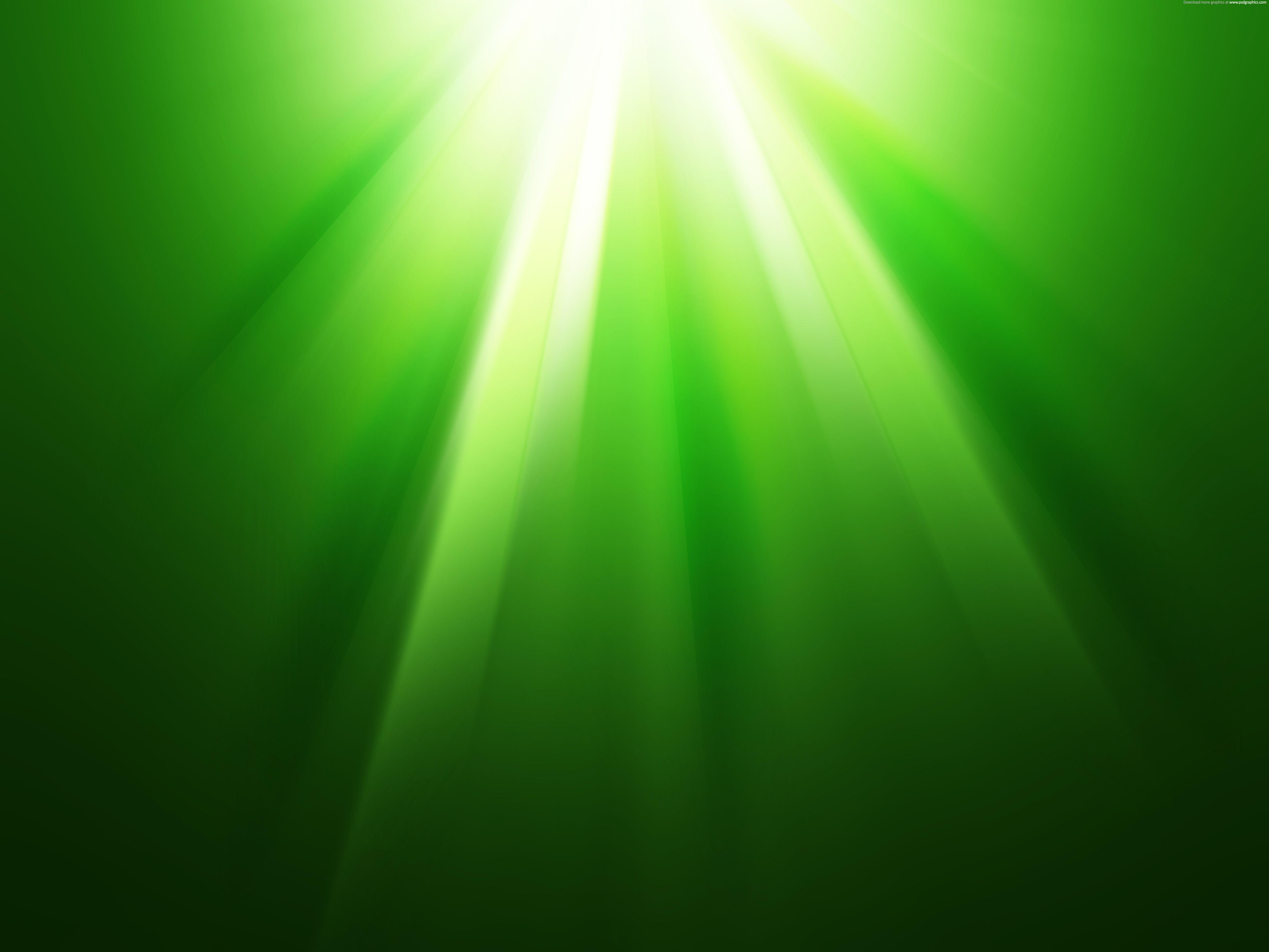 5000x3750 Green Wallpaper HD