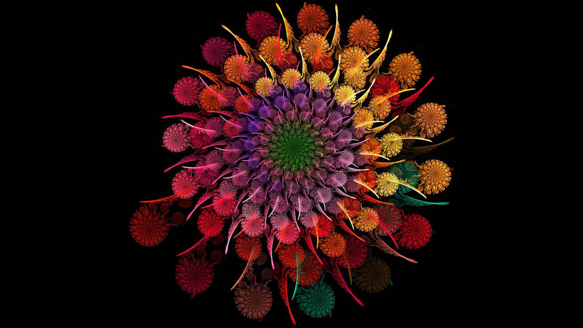 1920x1080 Colorful Flowers Wallpaper HD